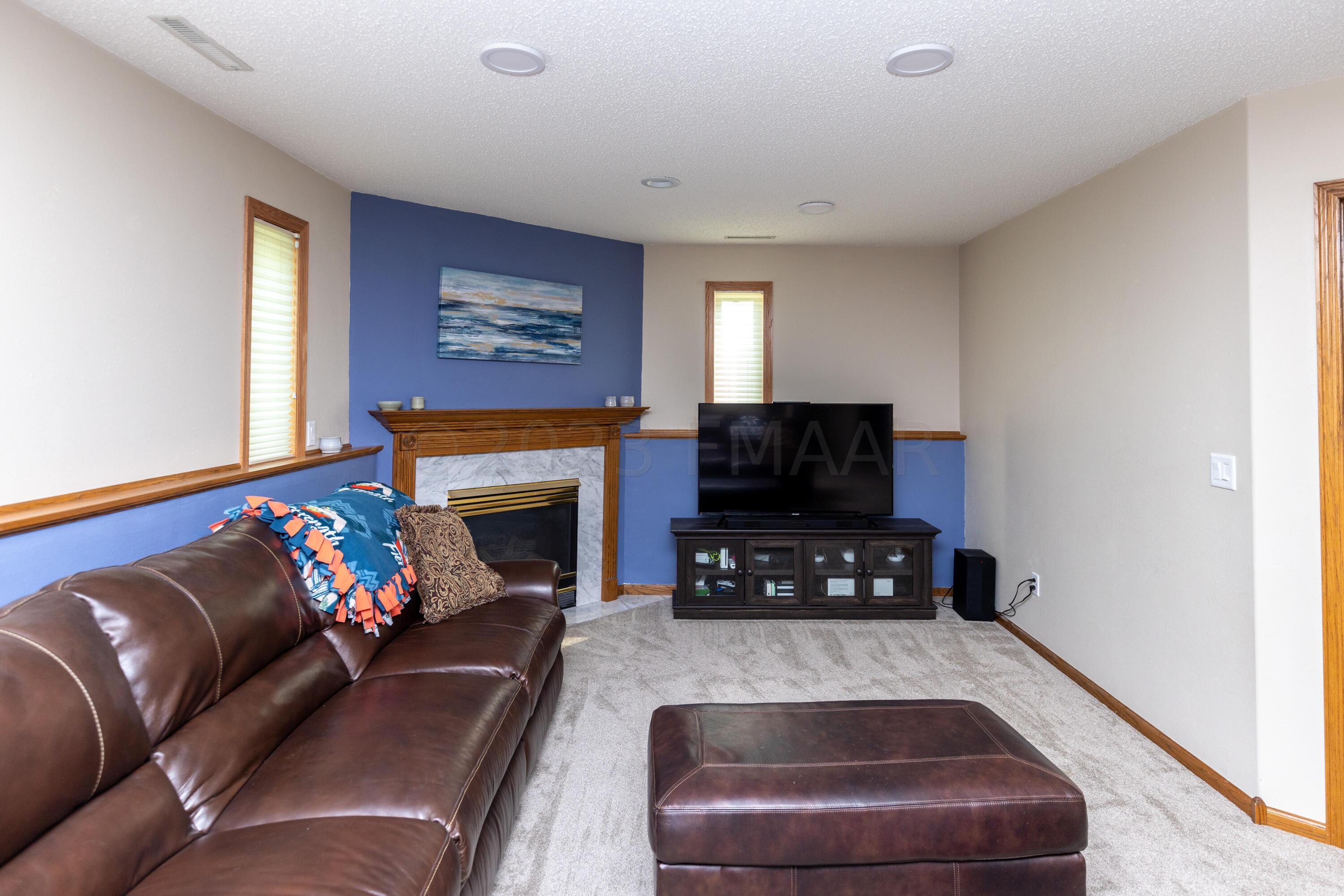 Lower Level Family Room