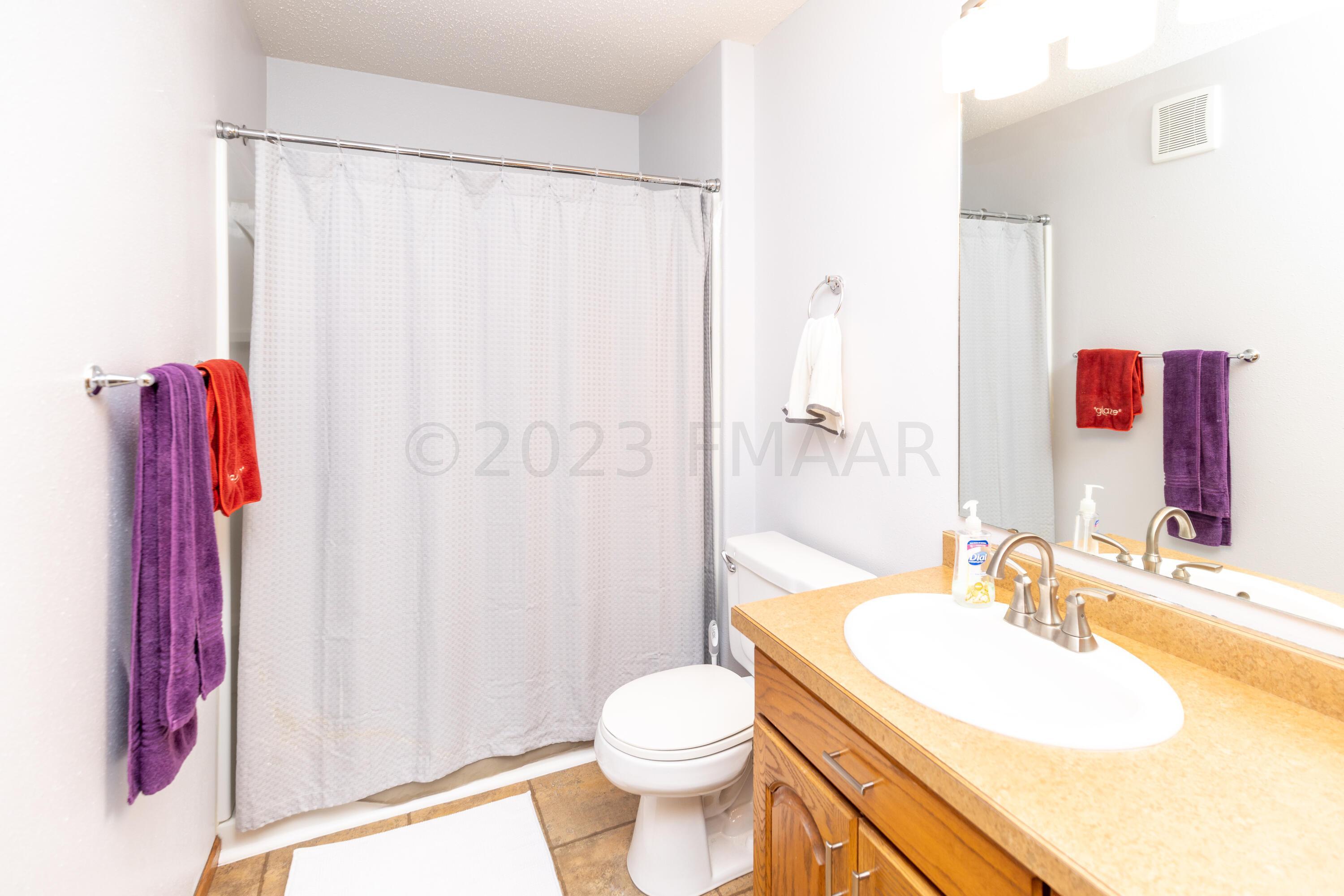 Lower Level Bathroom