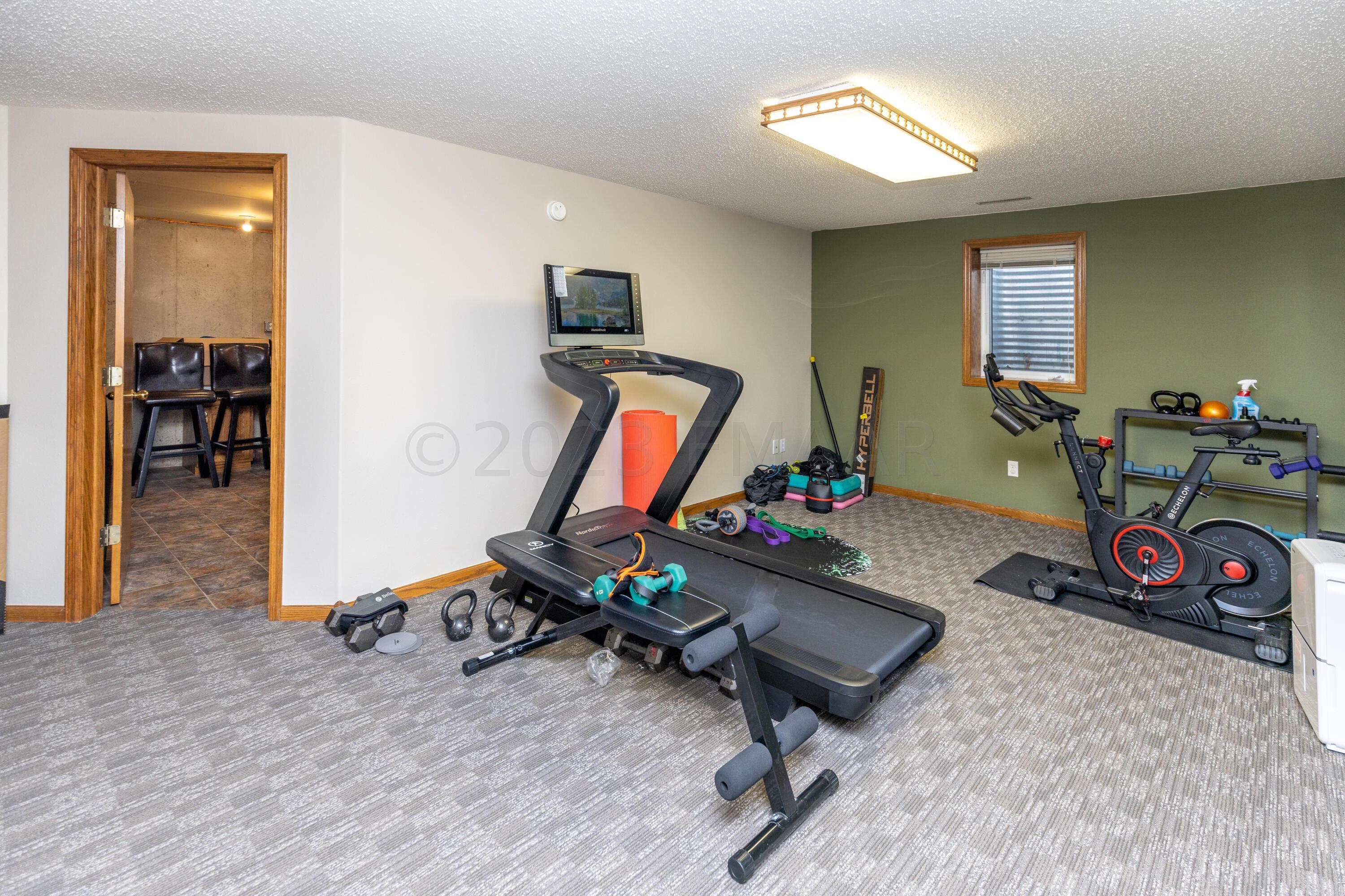 Basement Family Room