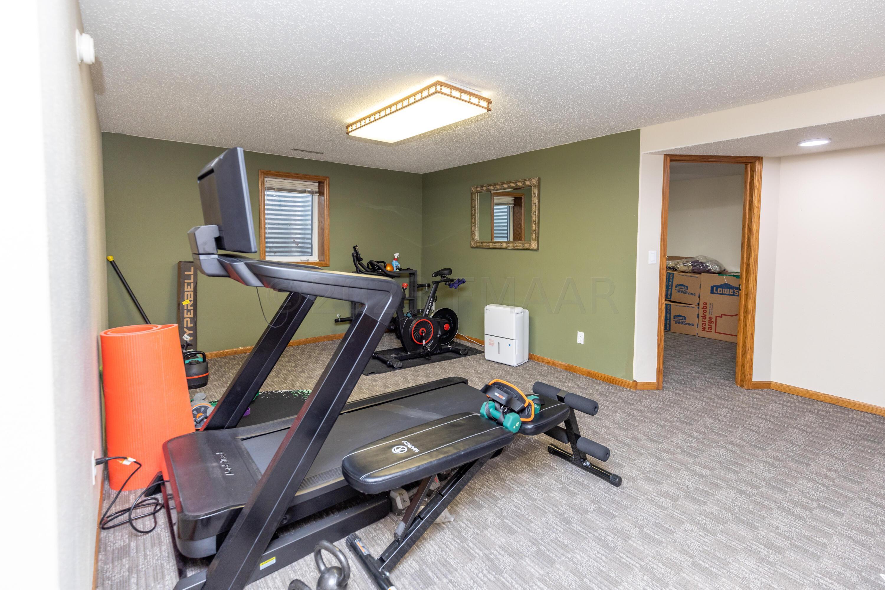 Basement Family Room