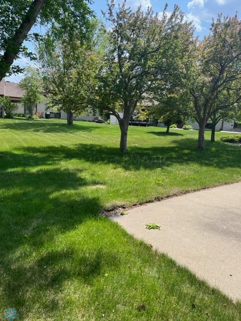 Veiw of backyard
