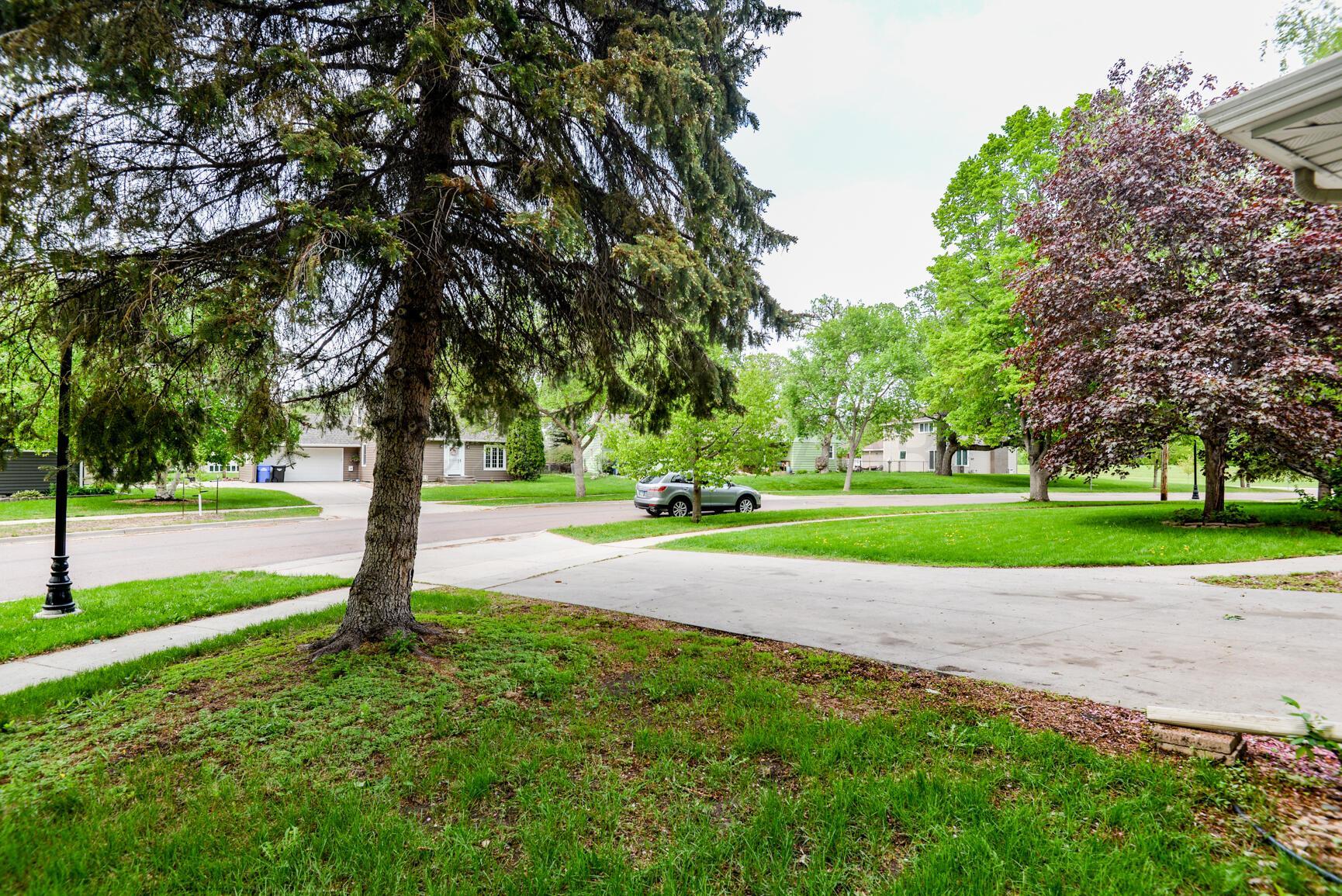 Front Yard