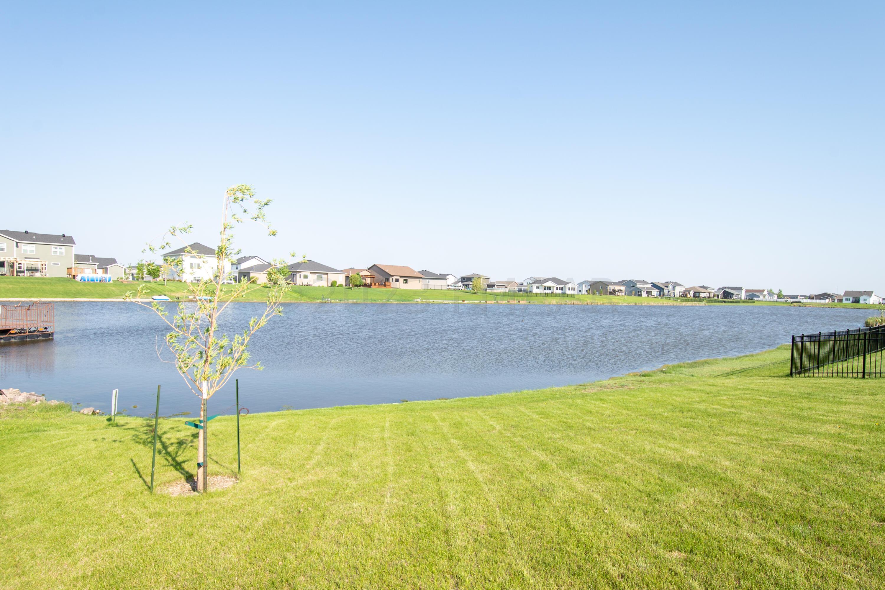 Pond