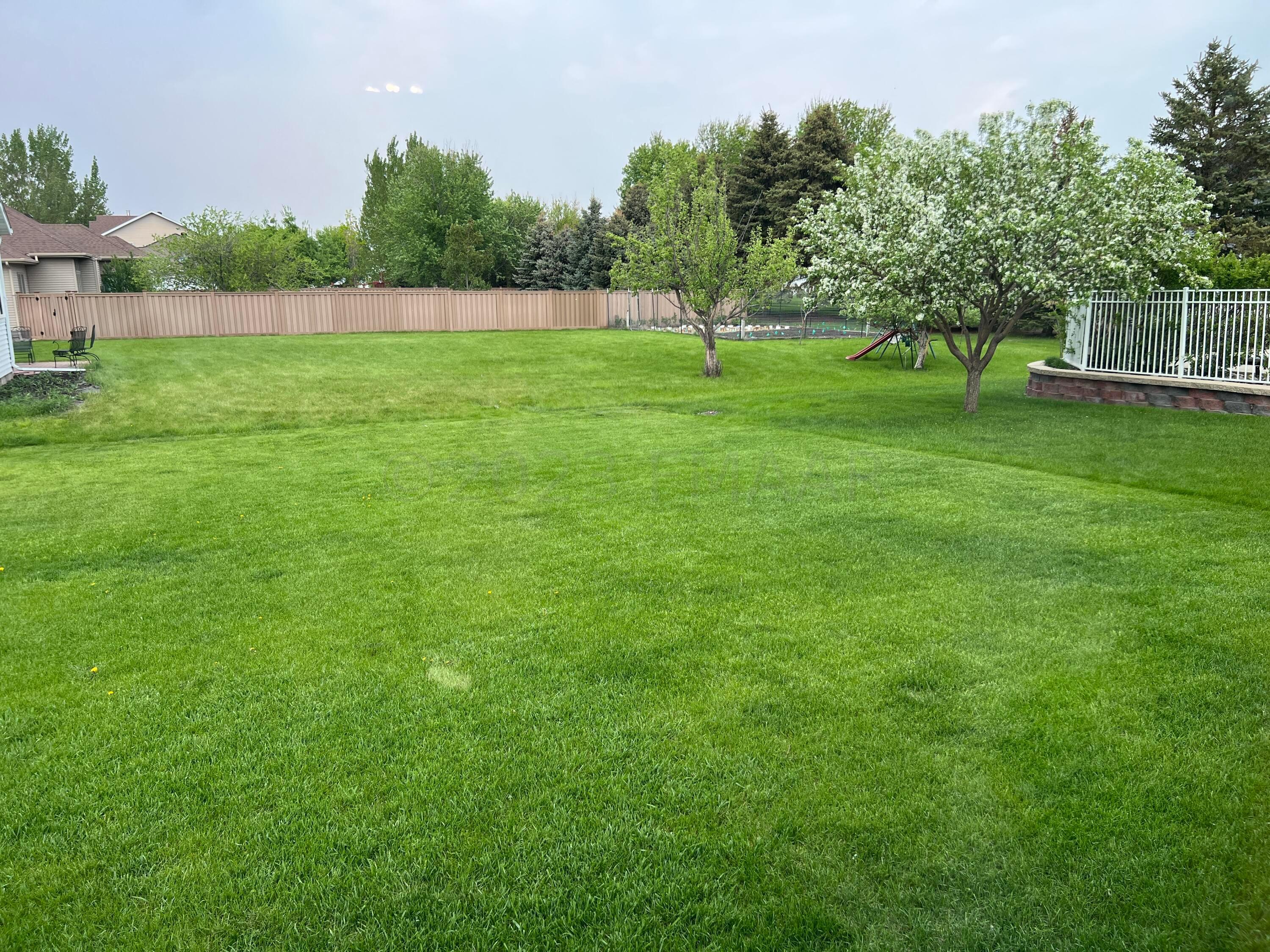 Backyard view from kitchen