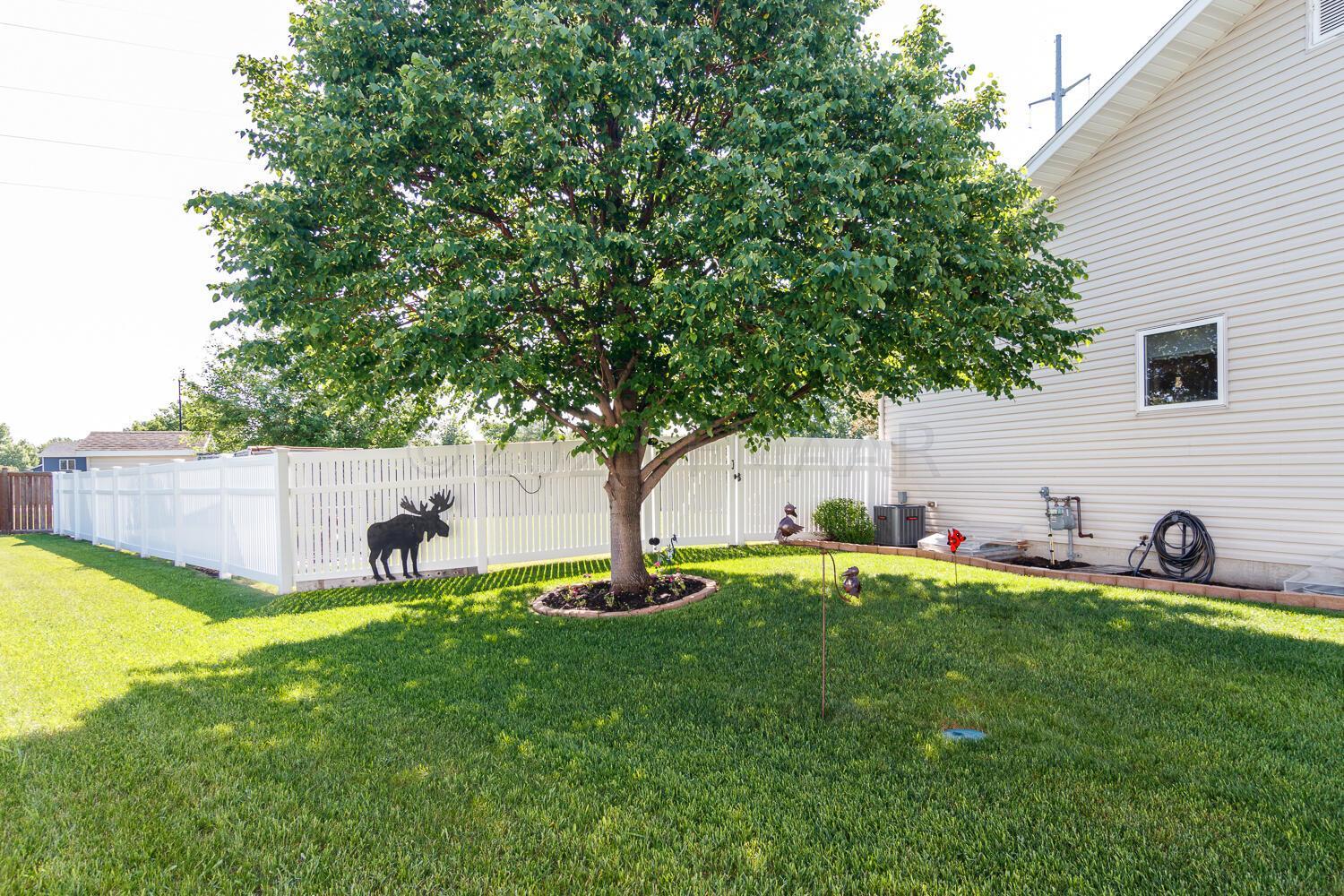 Front yard