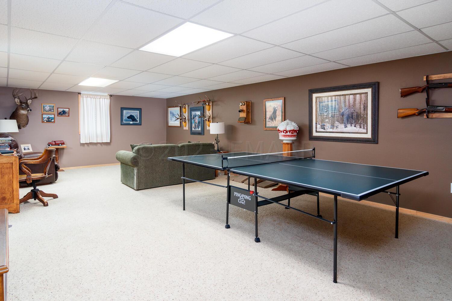 Basement family room