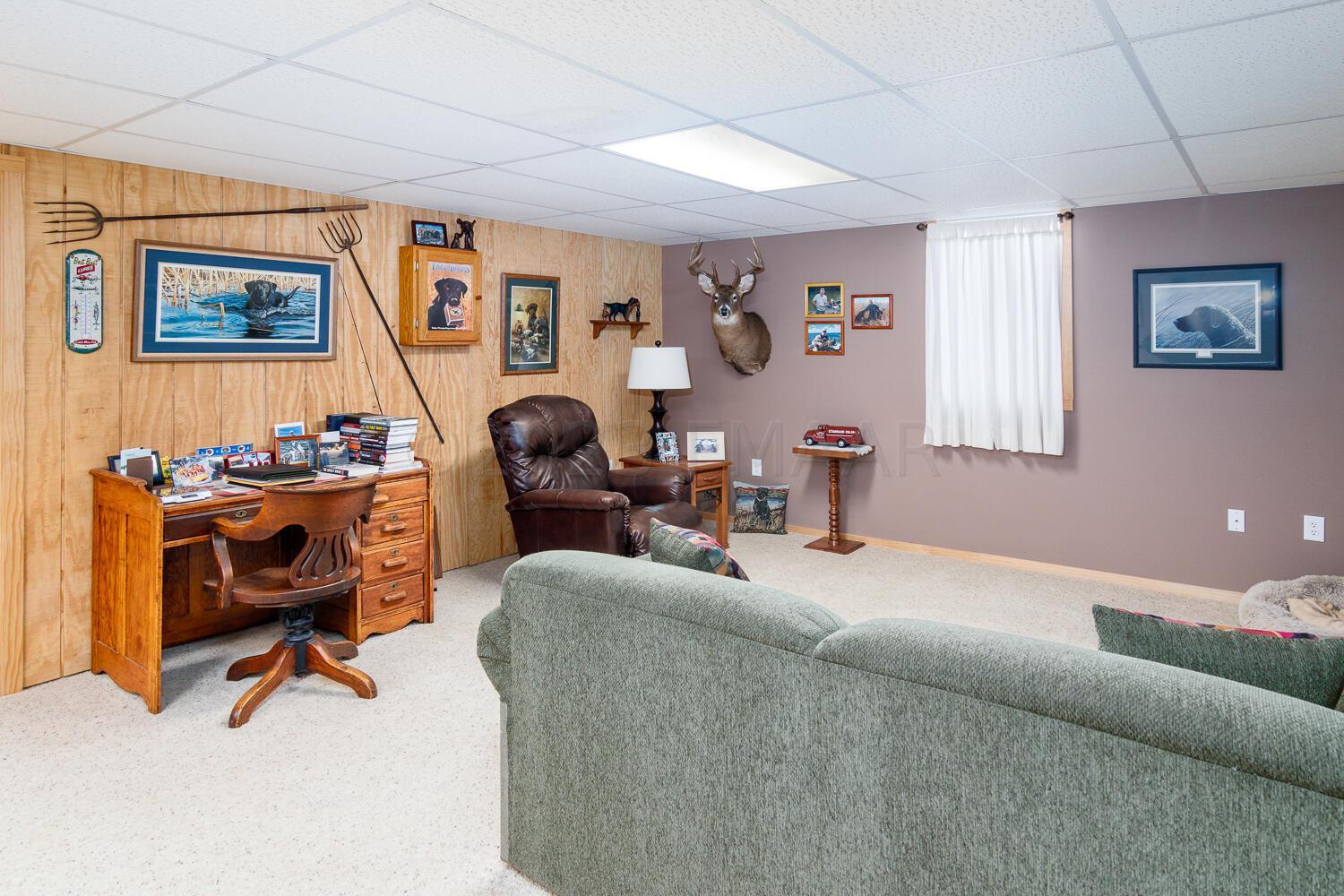 Basement family room