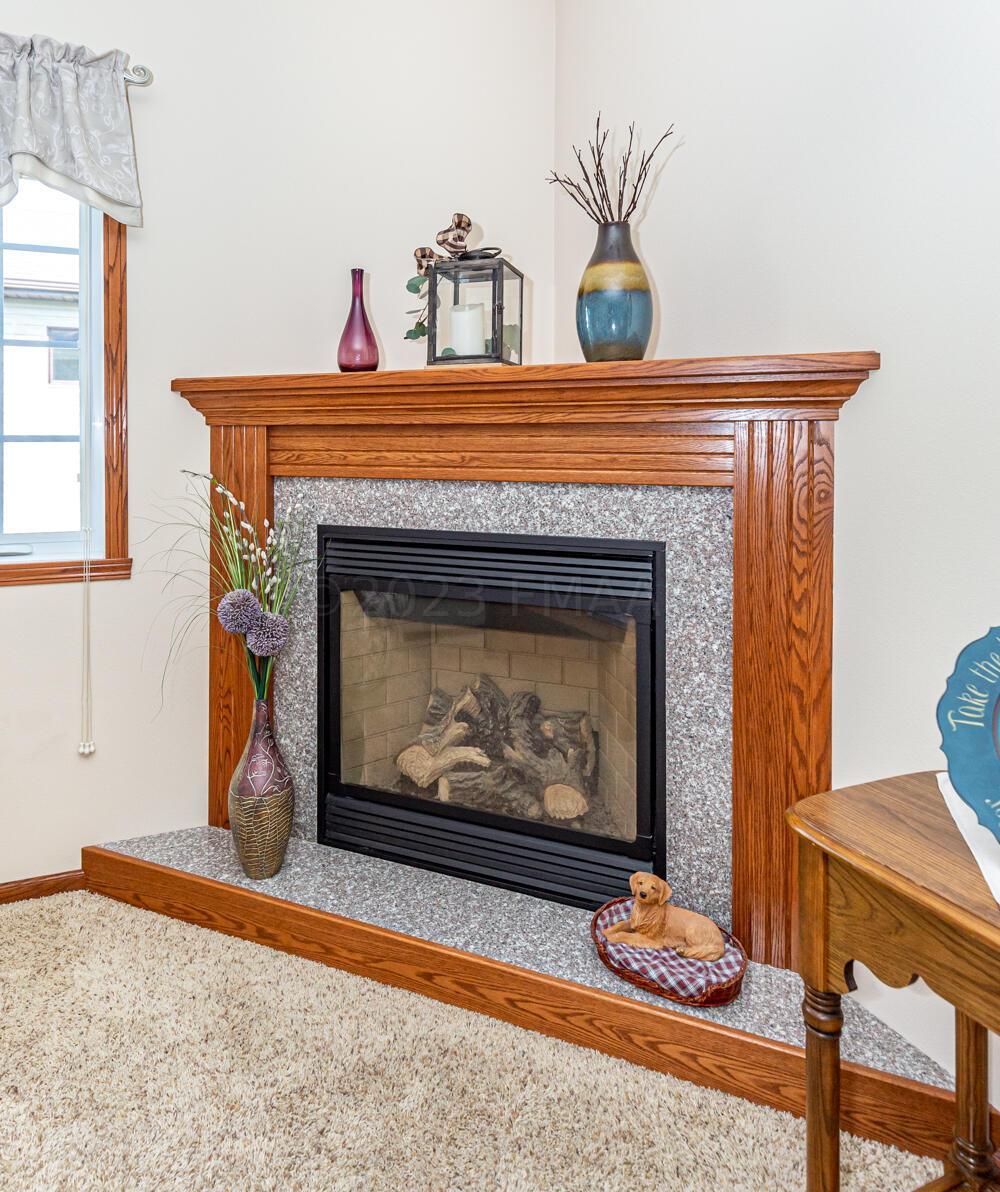 Gas Fireplace
