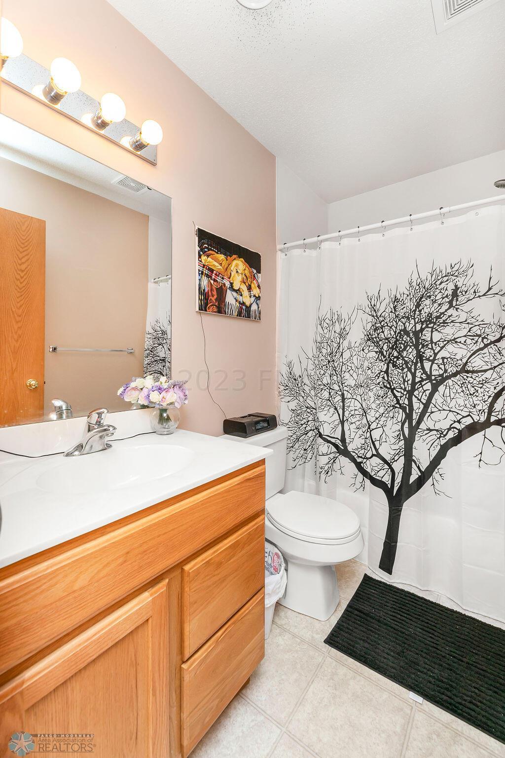 Lower level bathroom