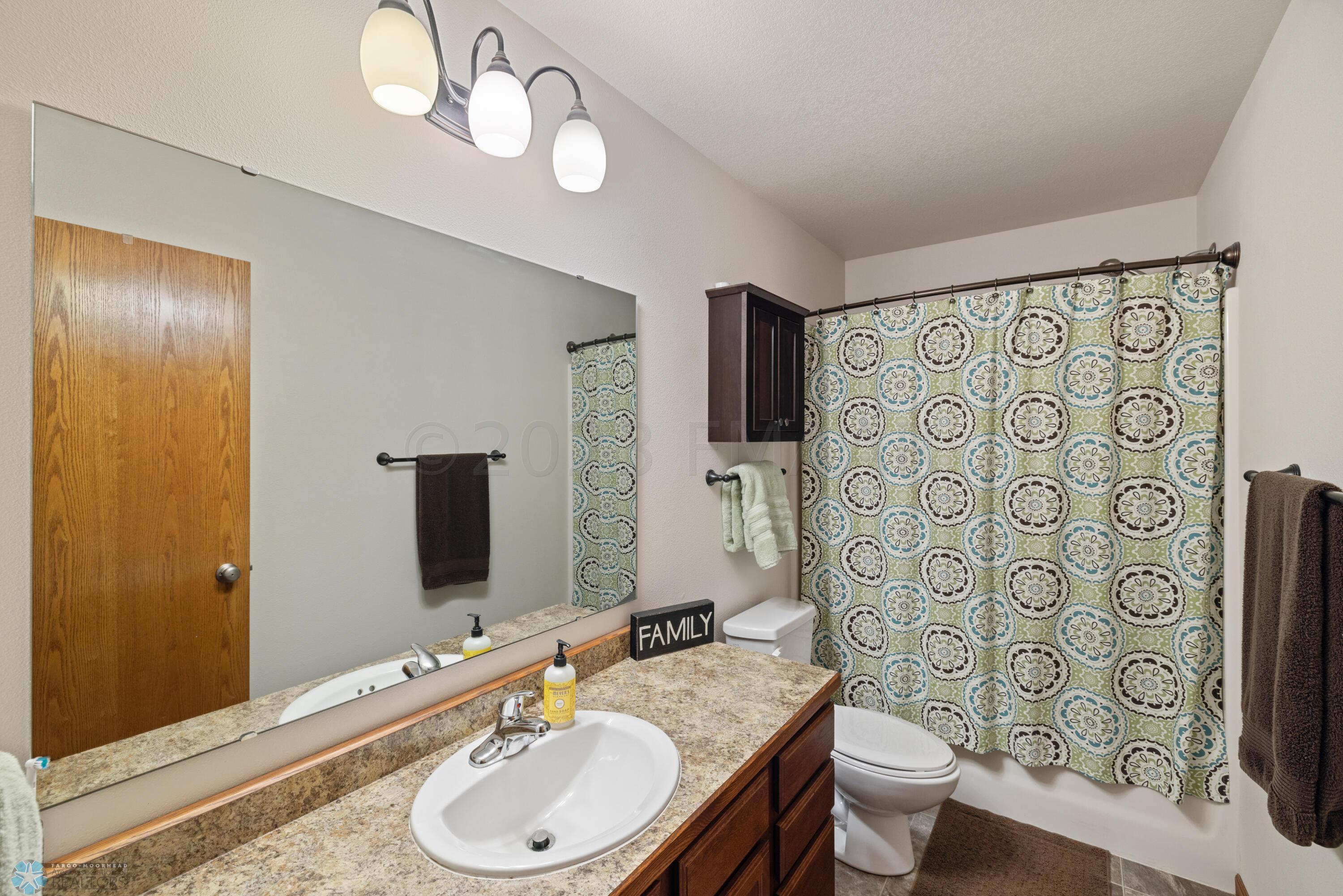 Lower level bathroom