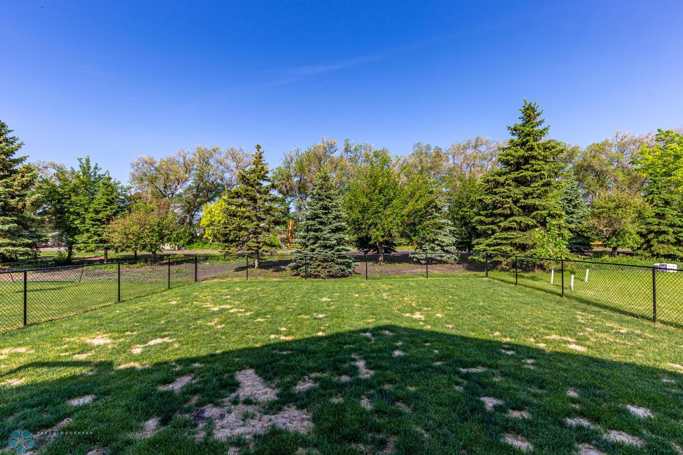 Backyard & Tree line