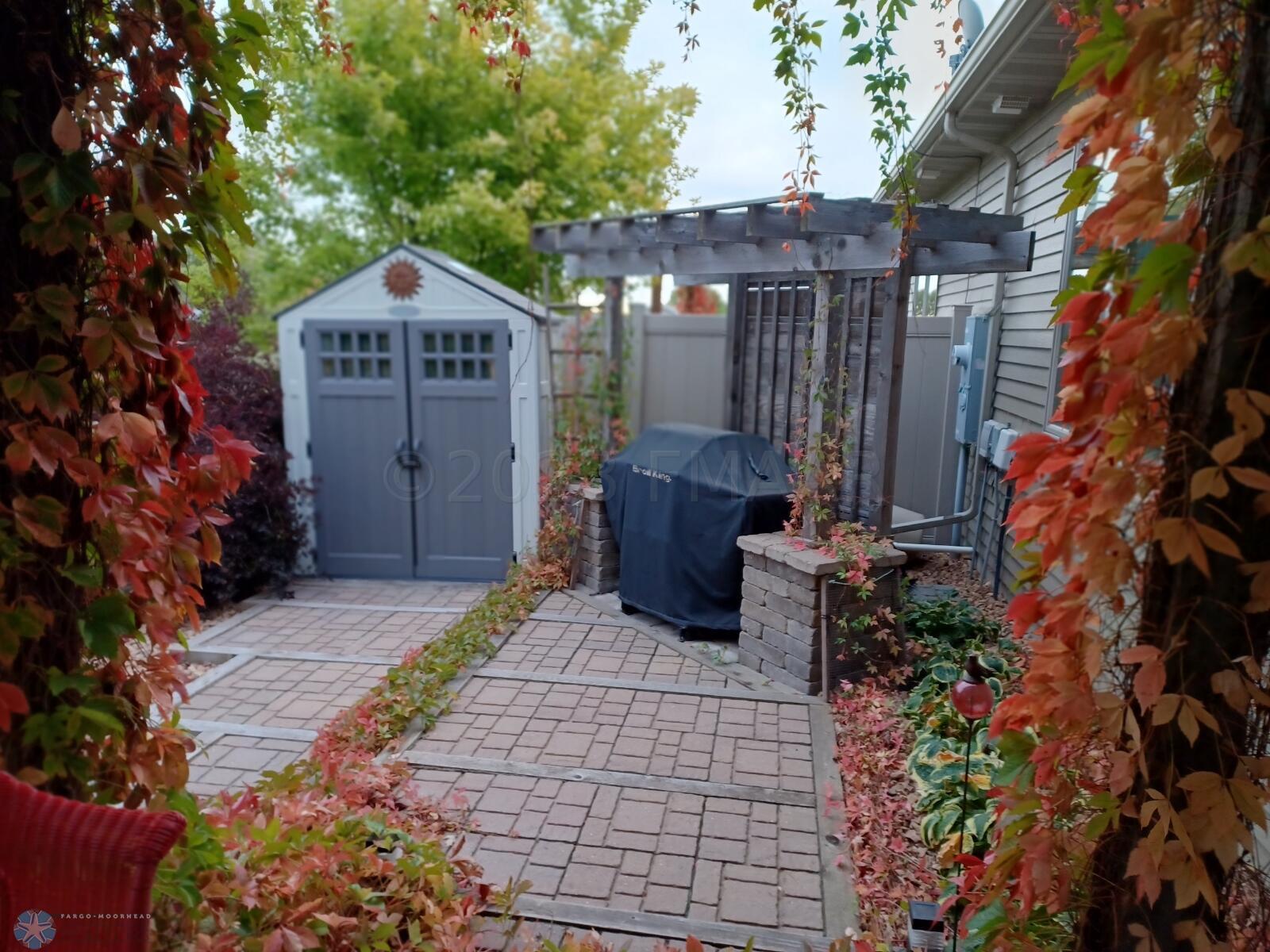 Backyard in Fall