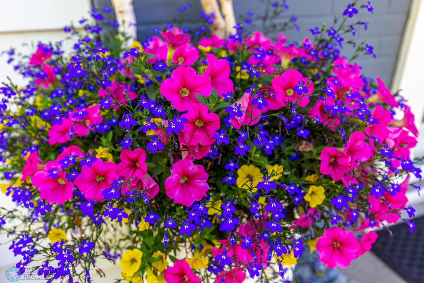 Flowers