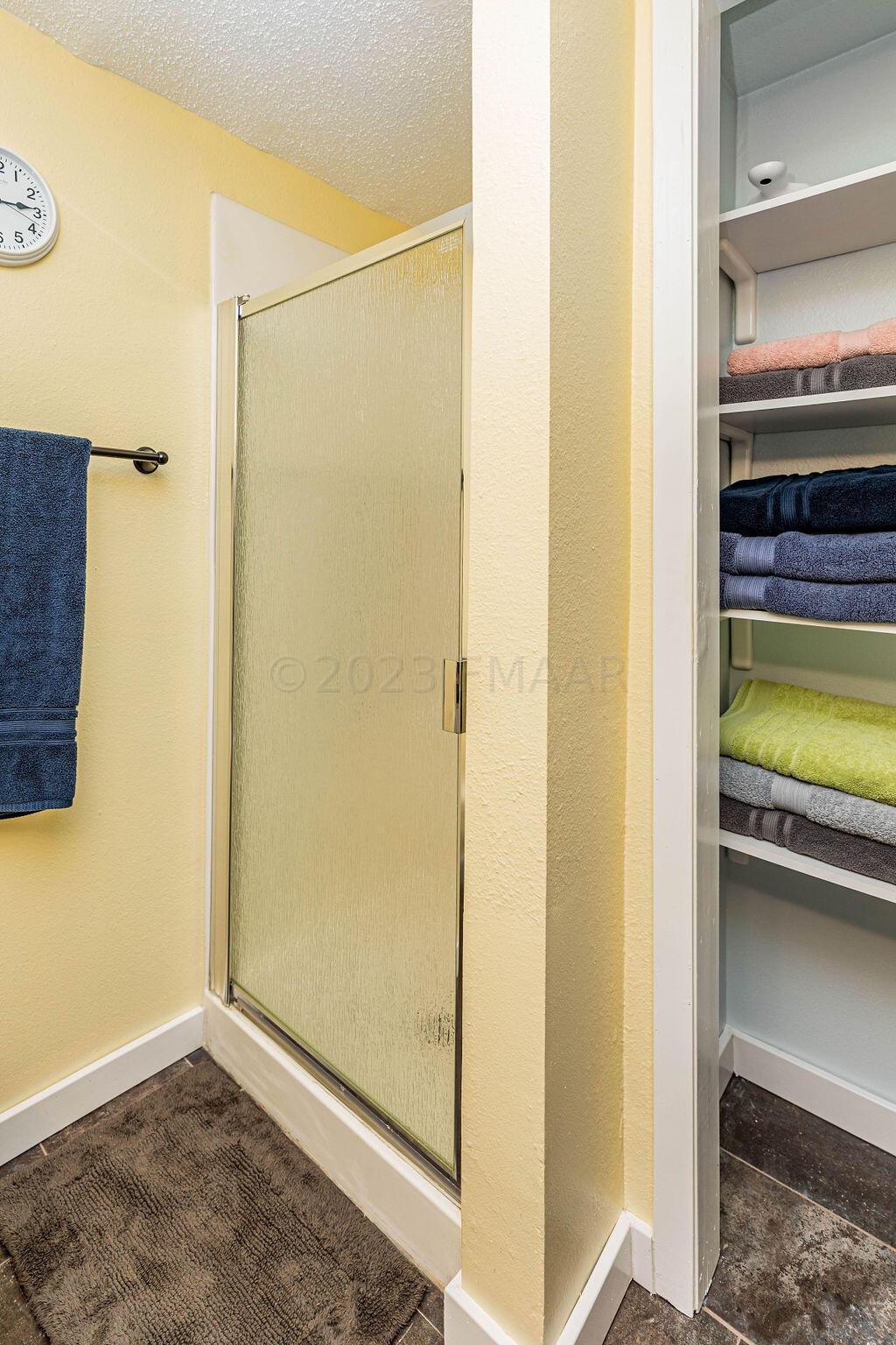 Bathroom w Shower in Bsmnt