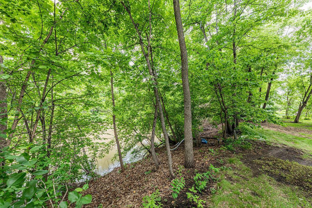 Riverbank in backyard