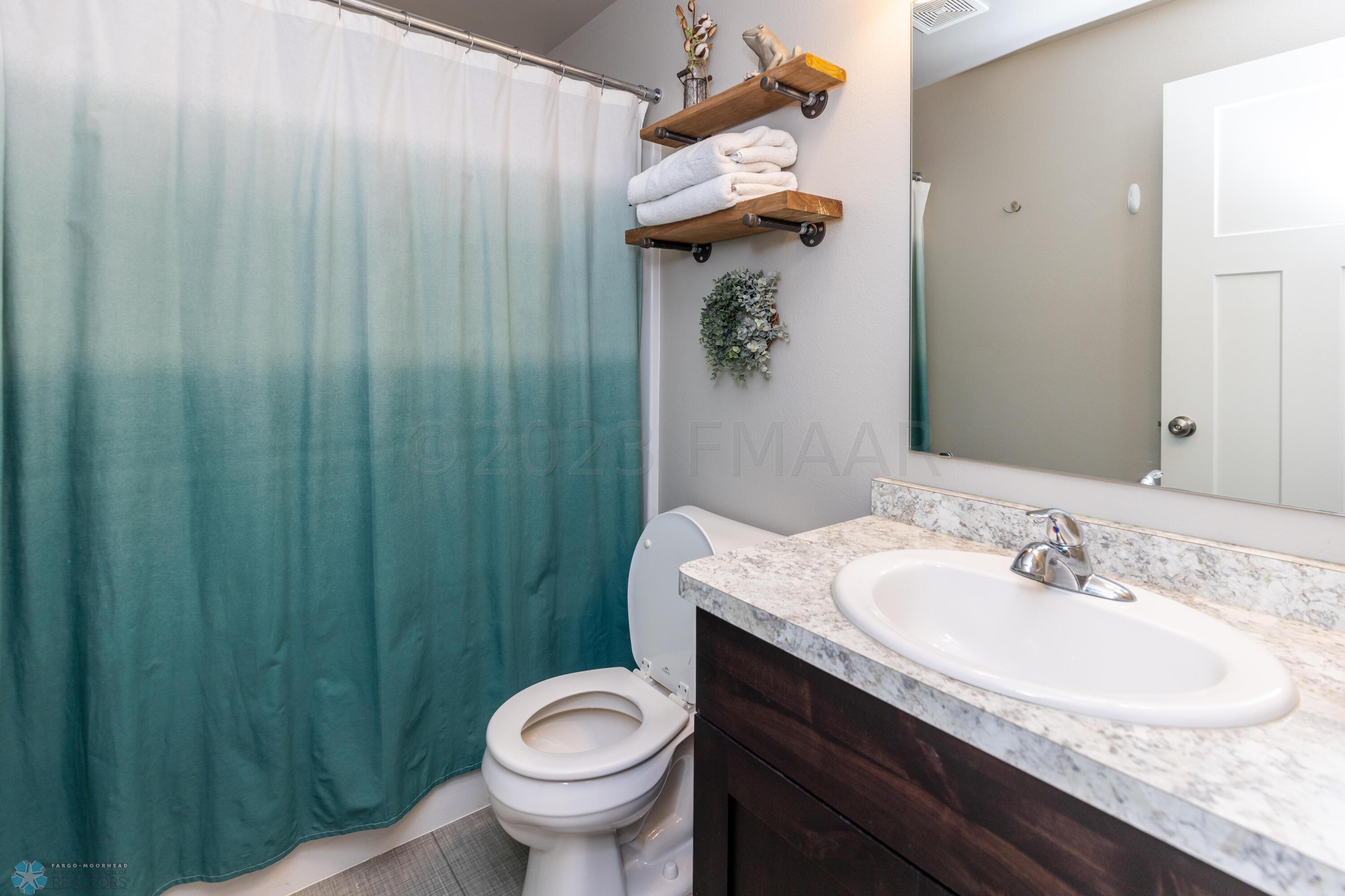 Lower Level Bathroom