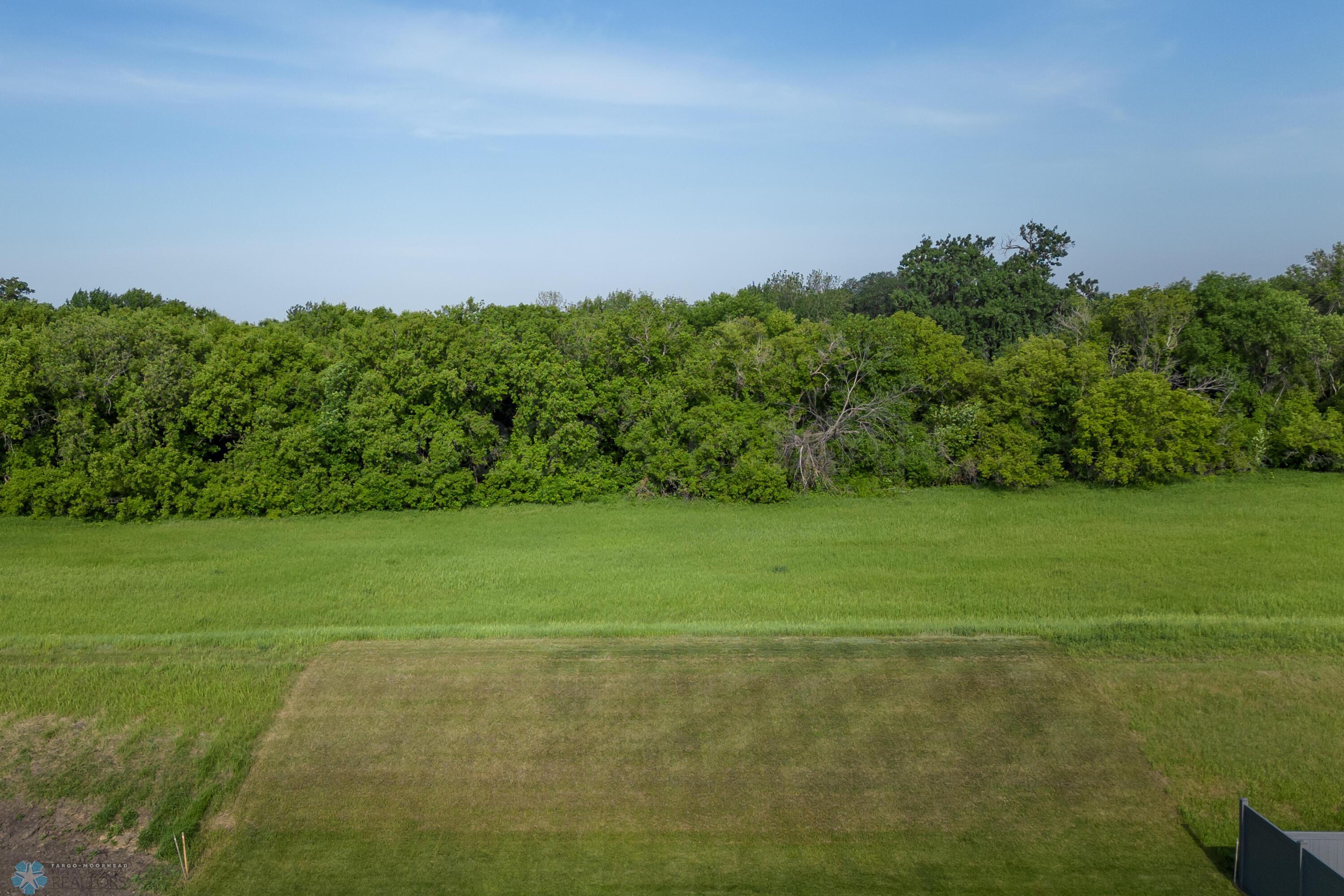 Tree line behind home