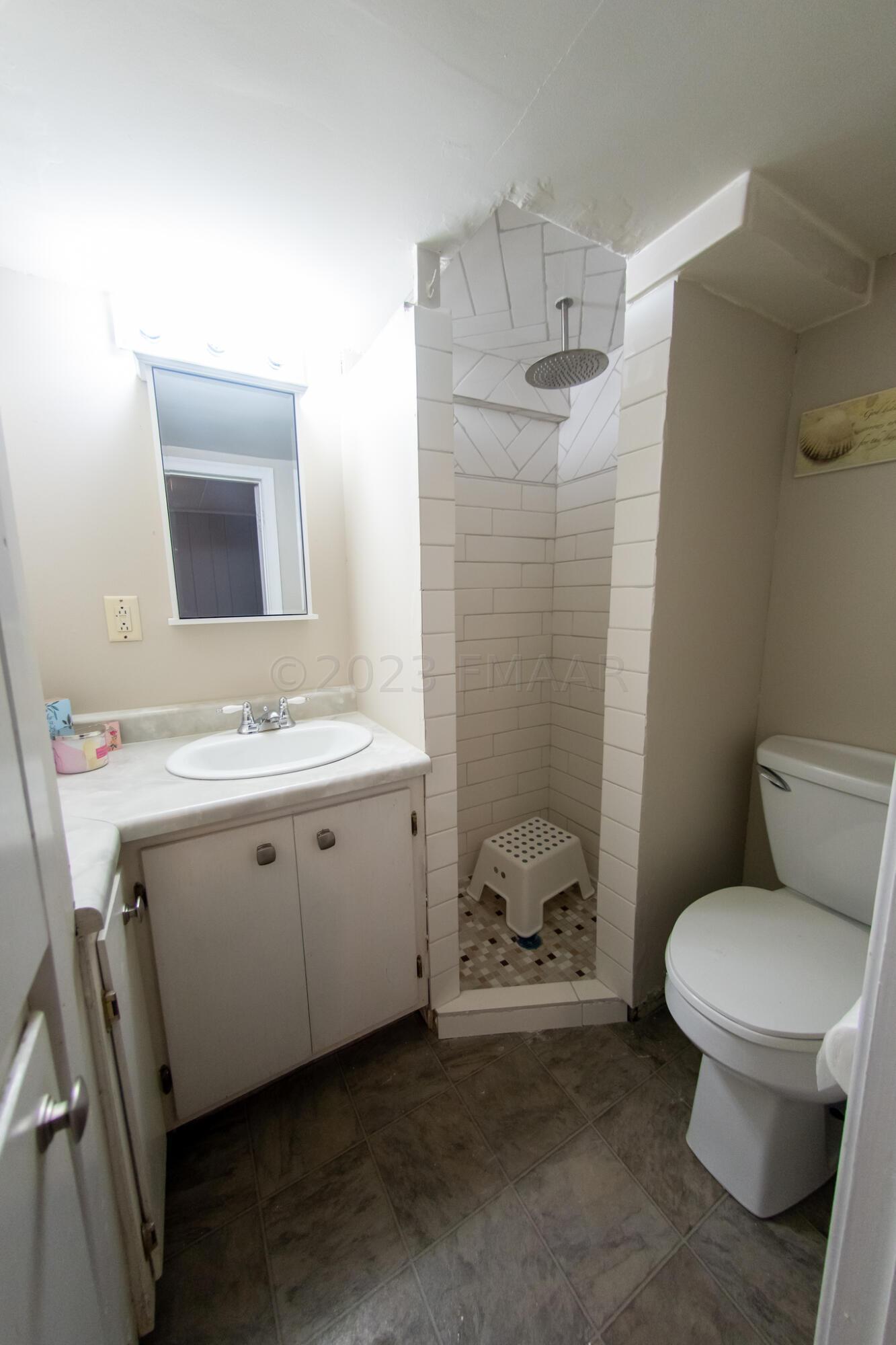 Lower Level Bathroom