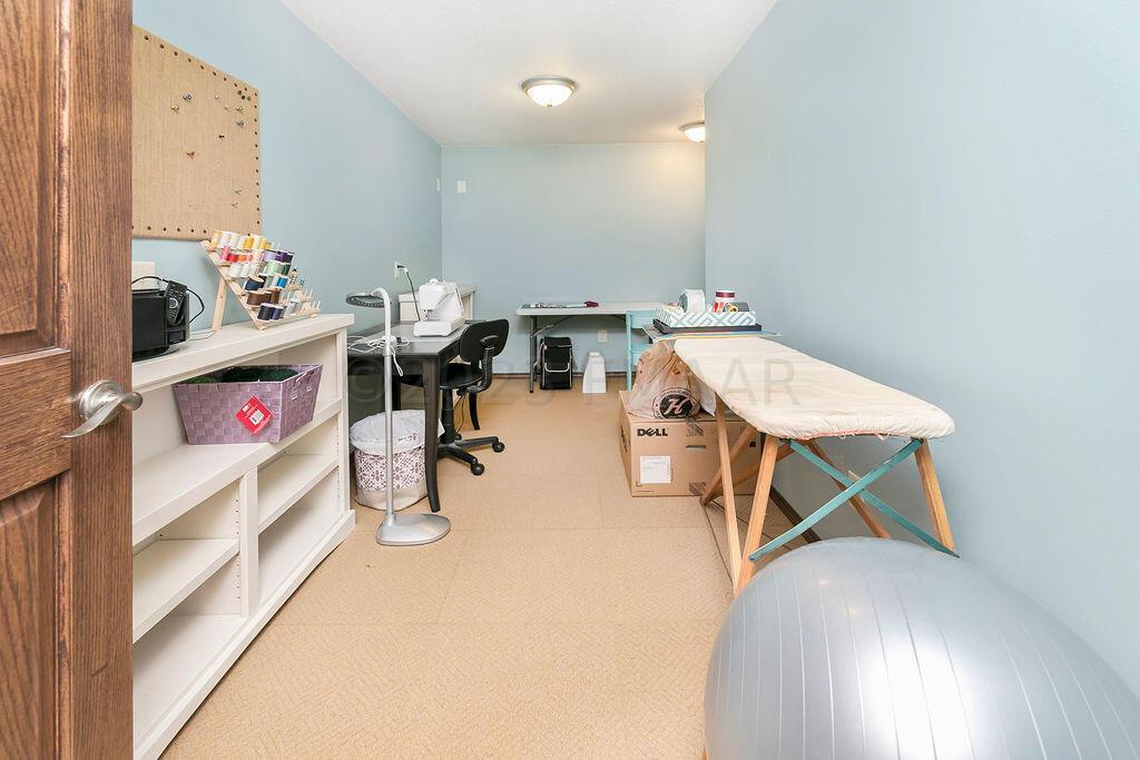 Storage or Office