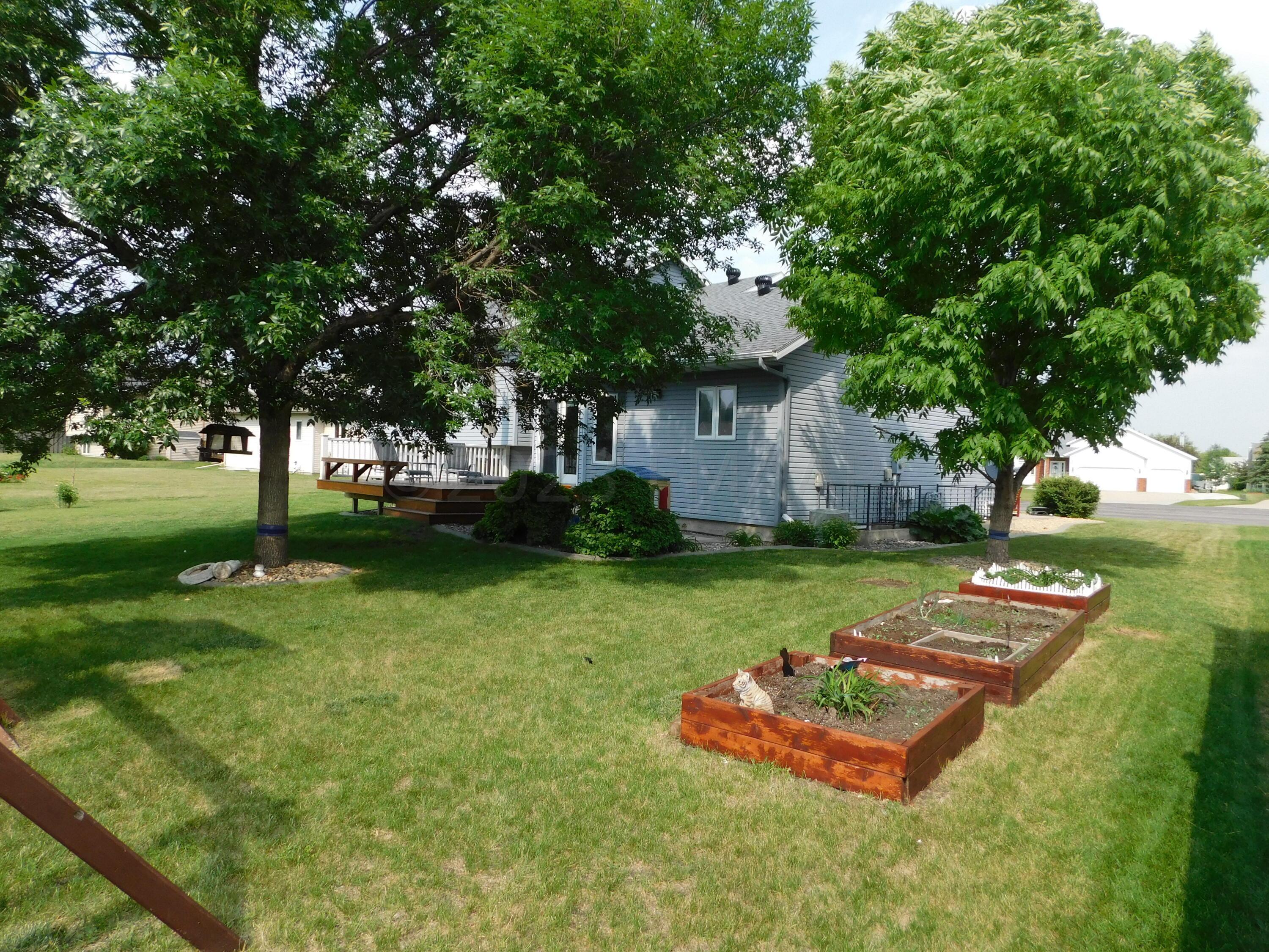 back yard