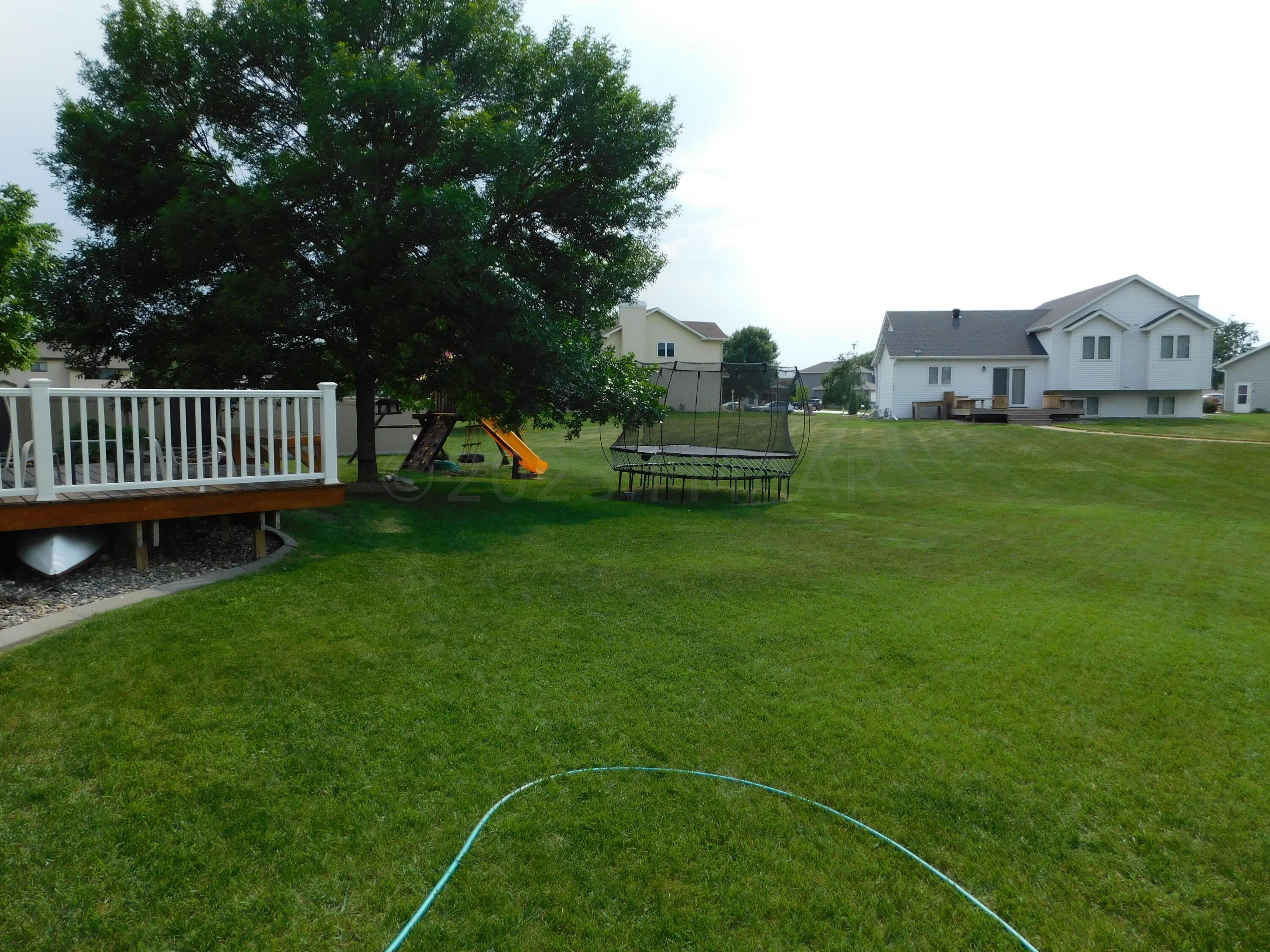 back yard