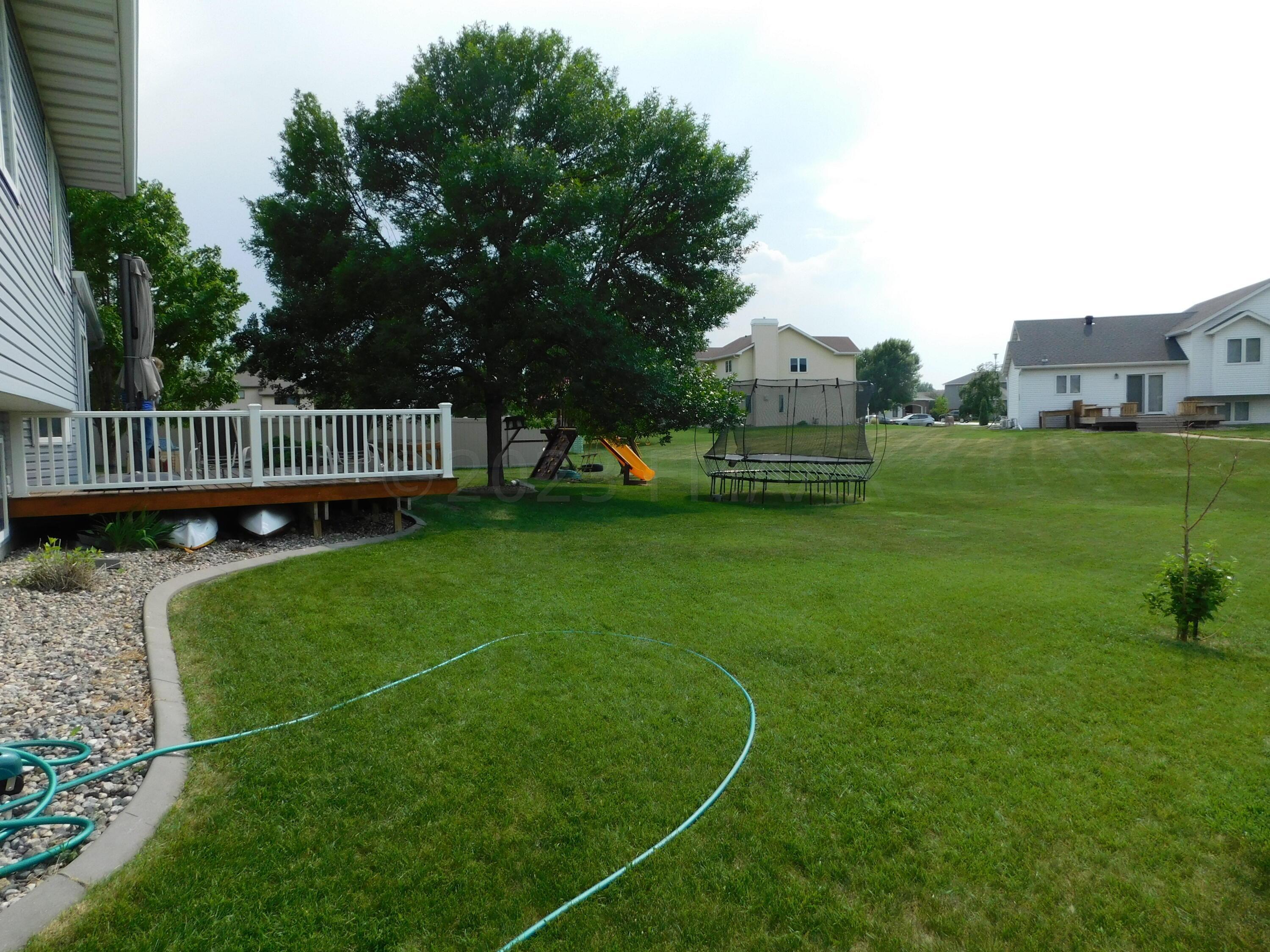 back yard