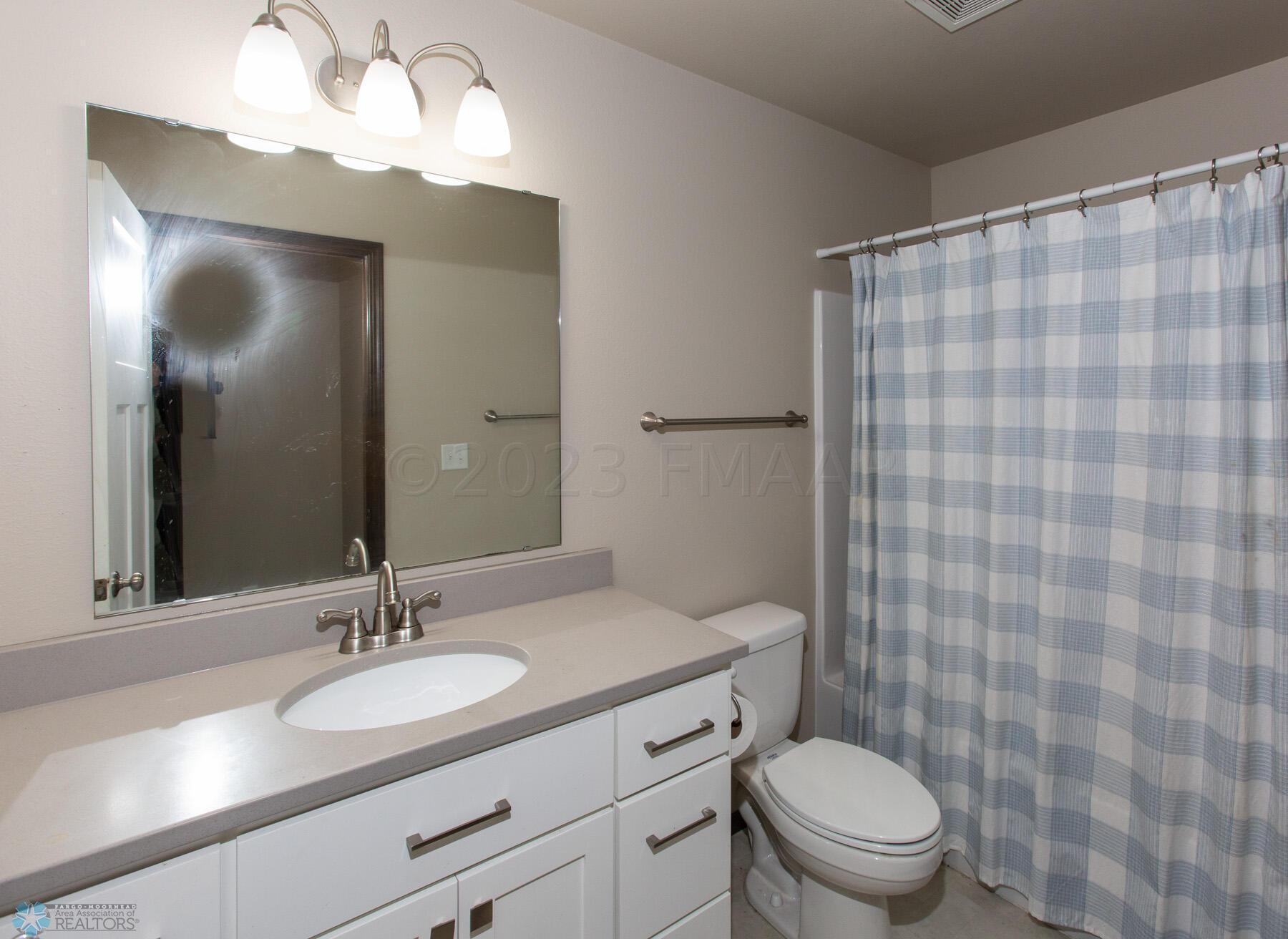 Lower Level Bathroom