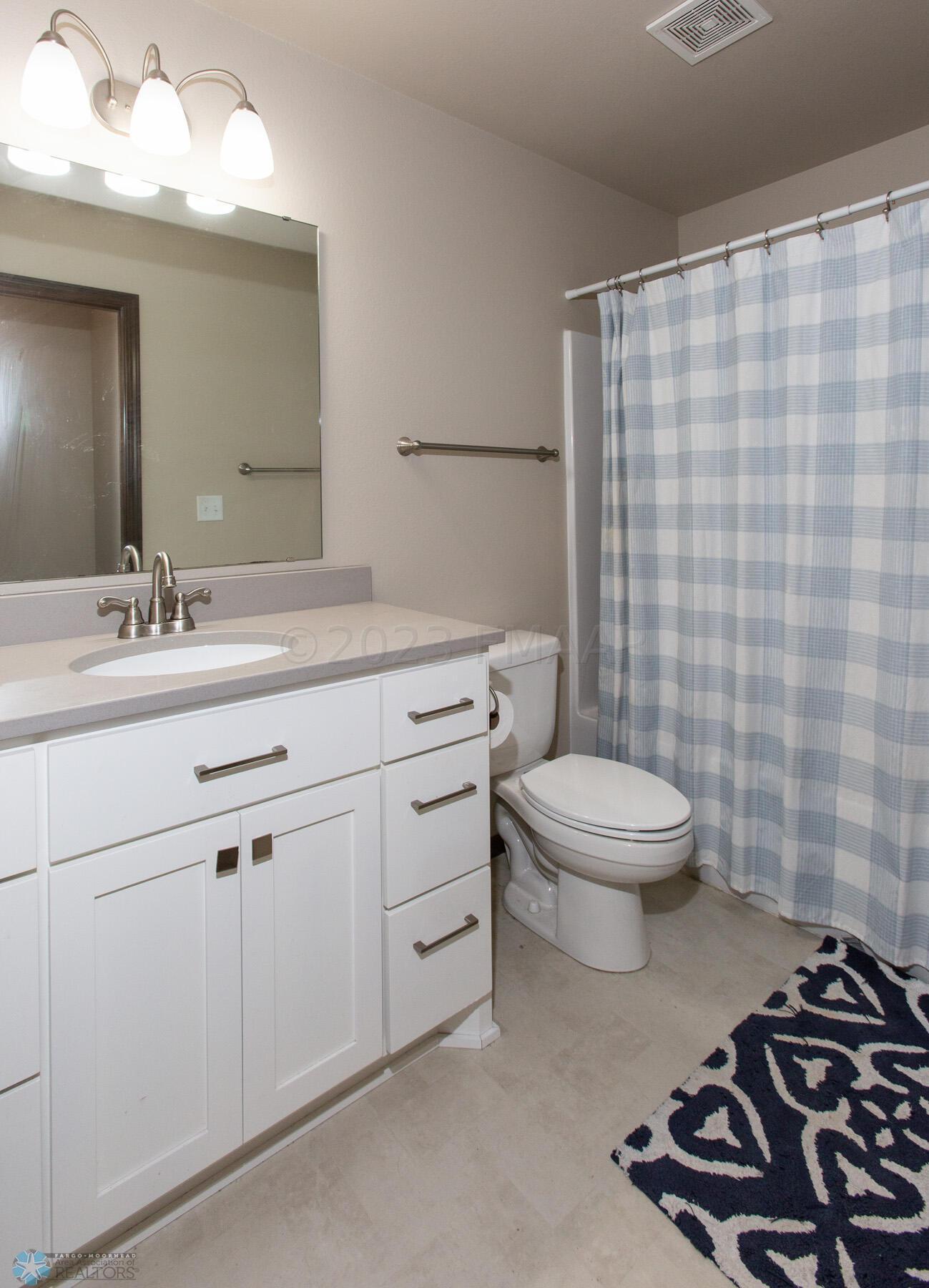 Lower Level Bathroom