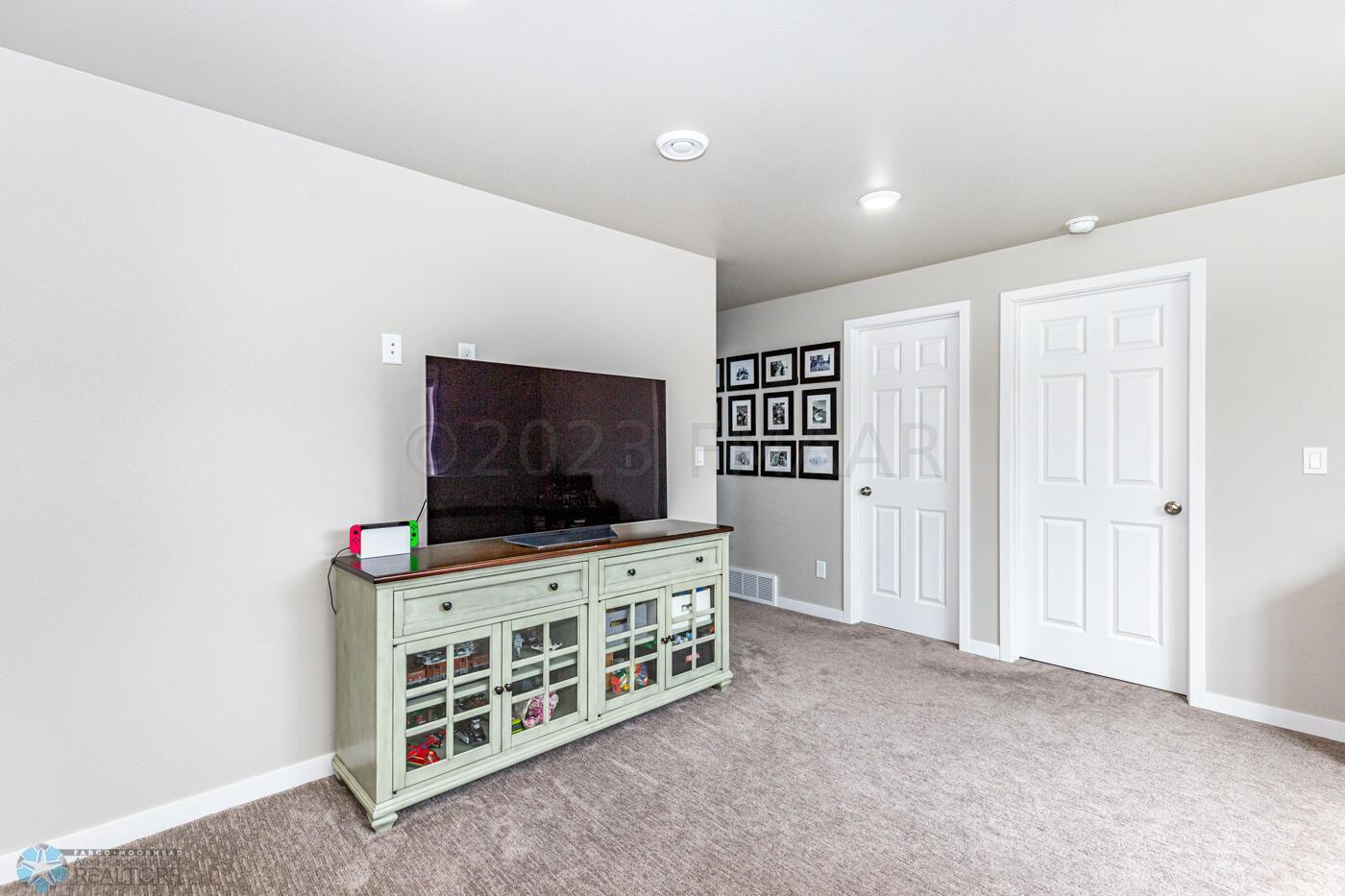 Lower Level Living Room