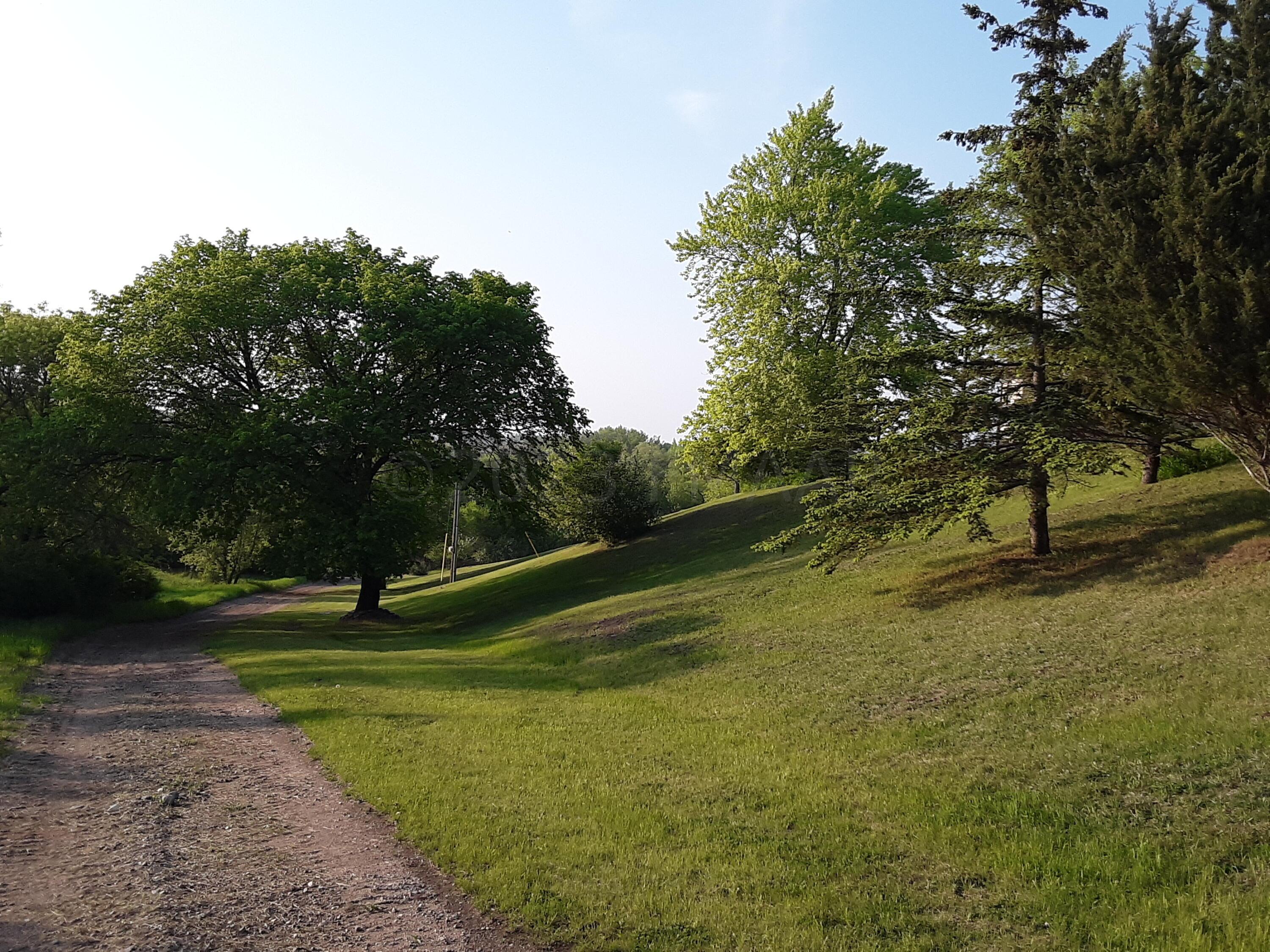Road down to tillable acreage
