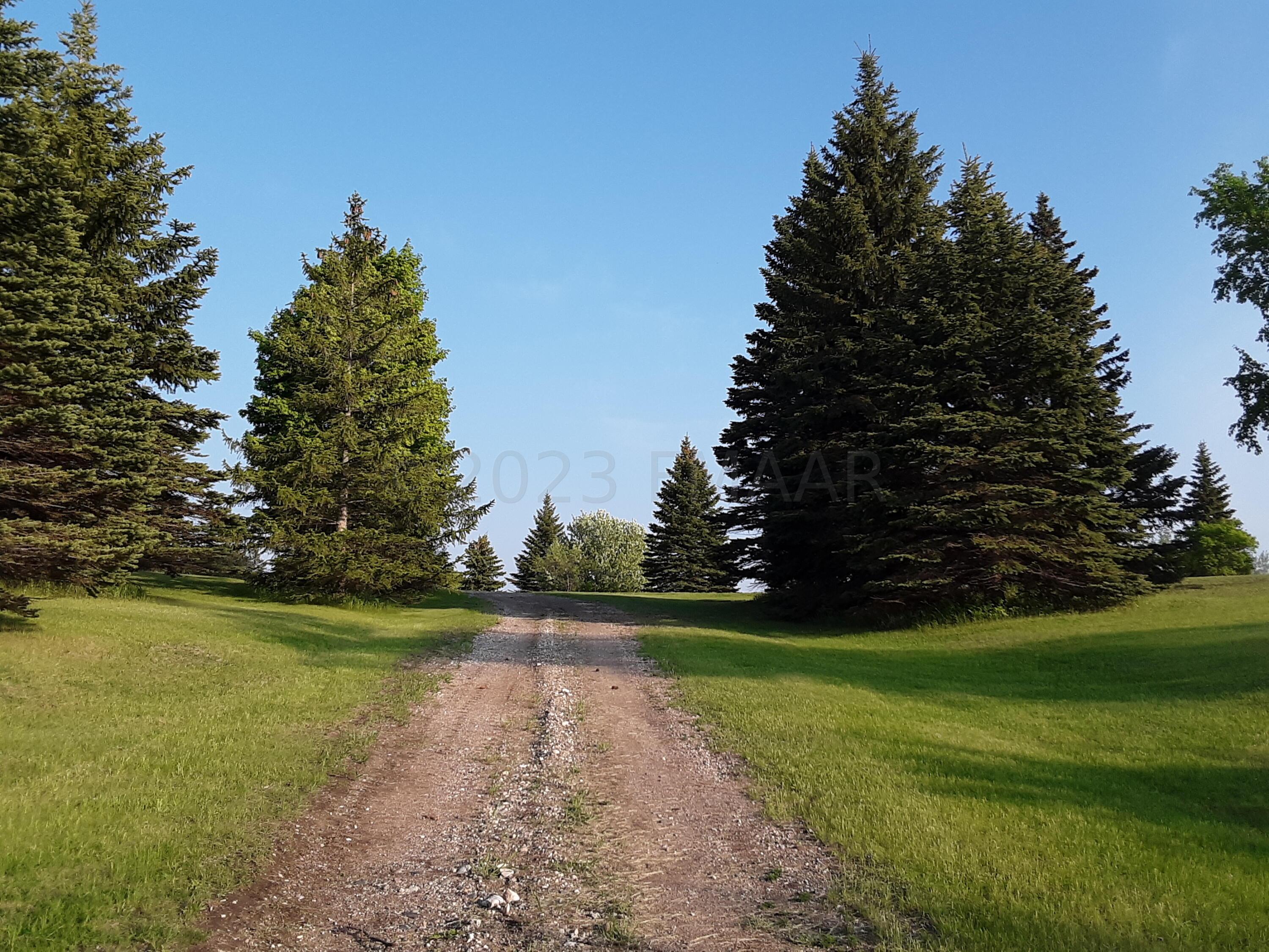 Road up to Main House