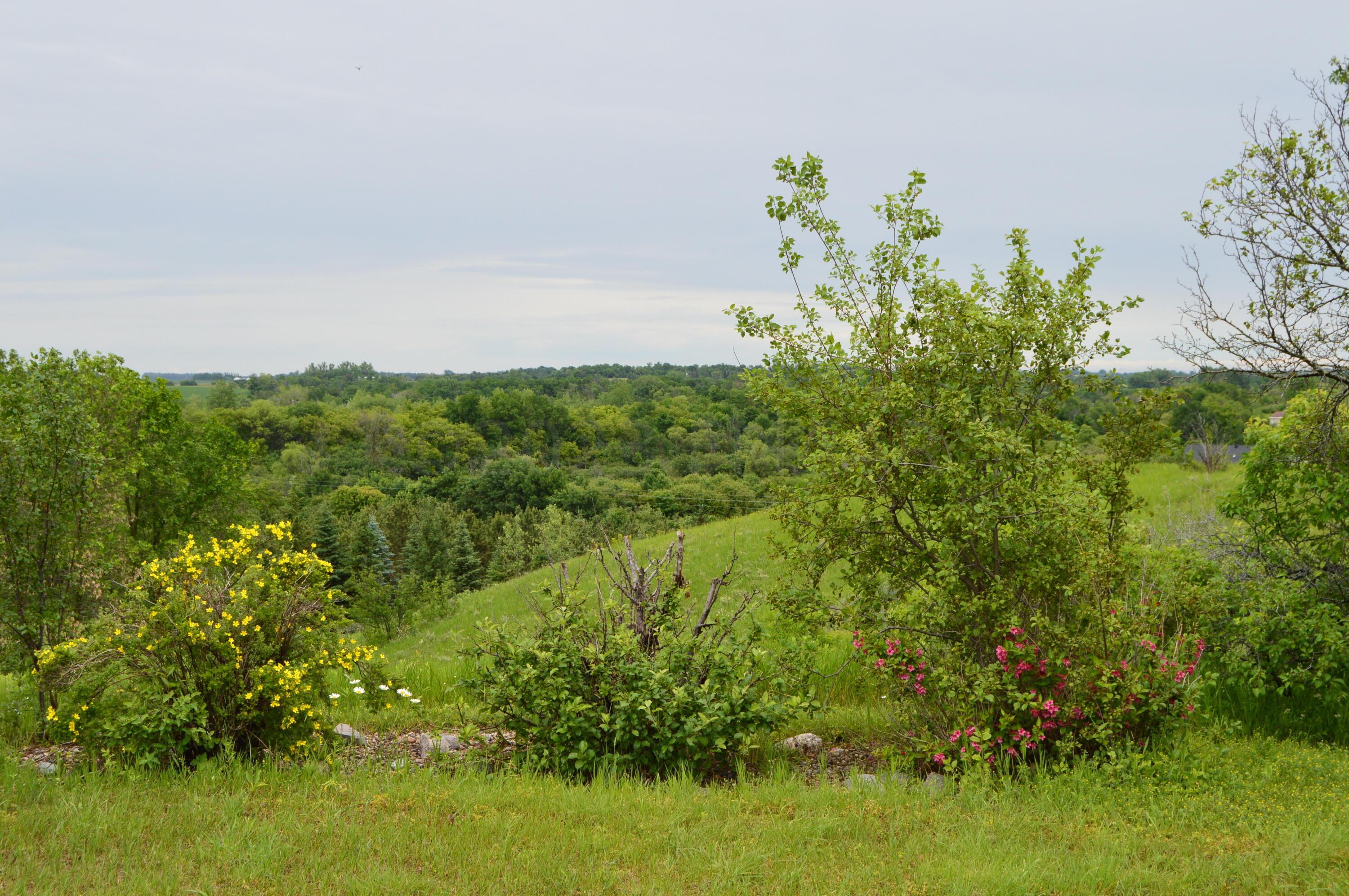 Fruit Trees