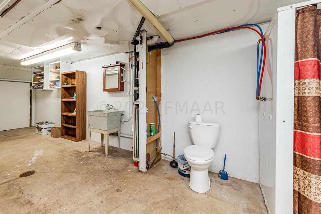 Toilet in Unfinished Area