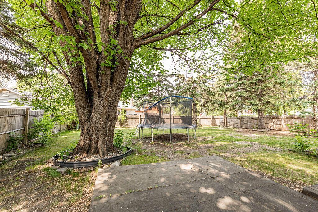 Lg Fenced Treed Lot