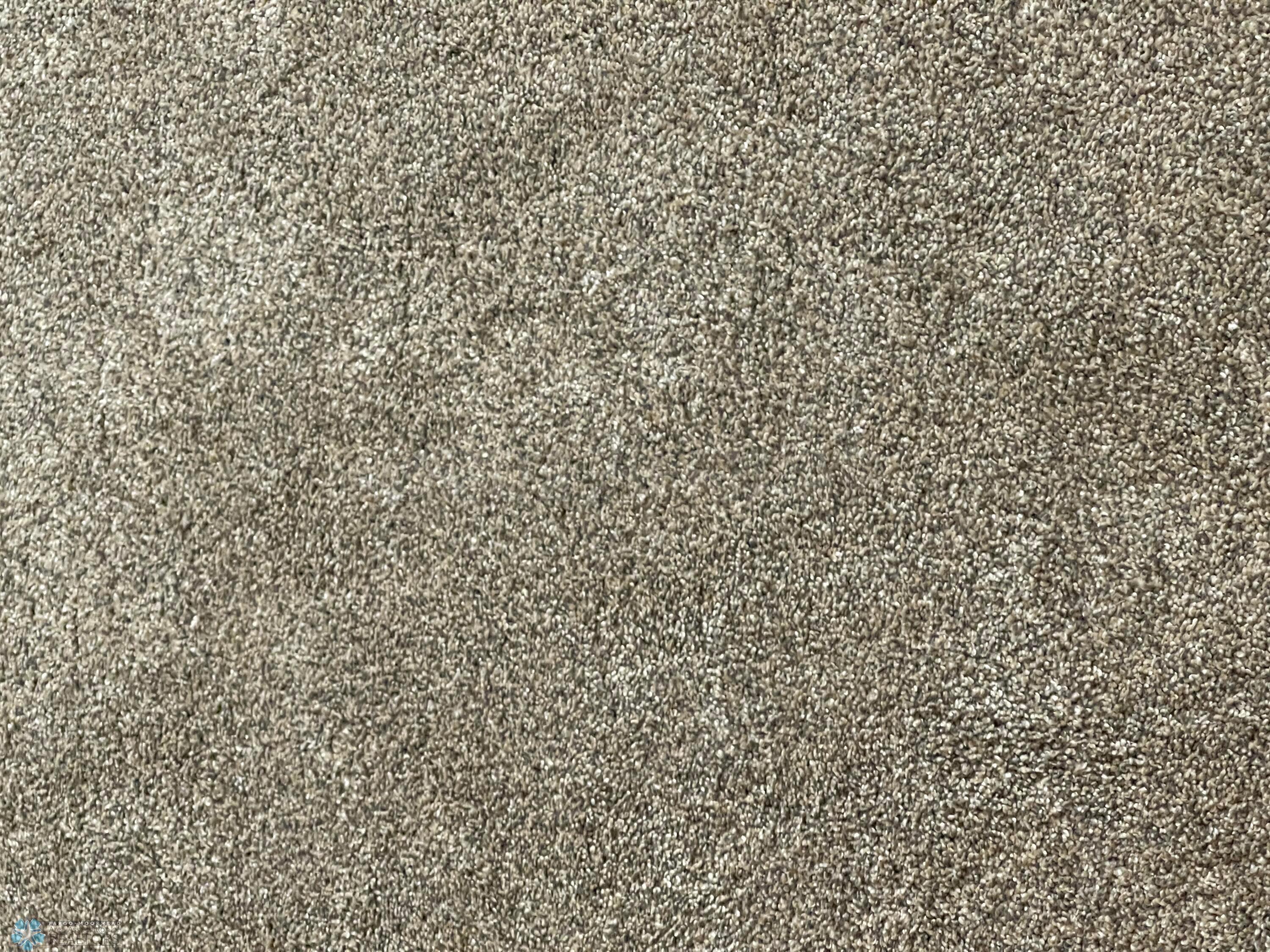 NEWER CARPET