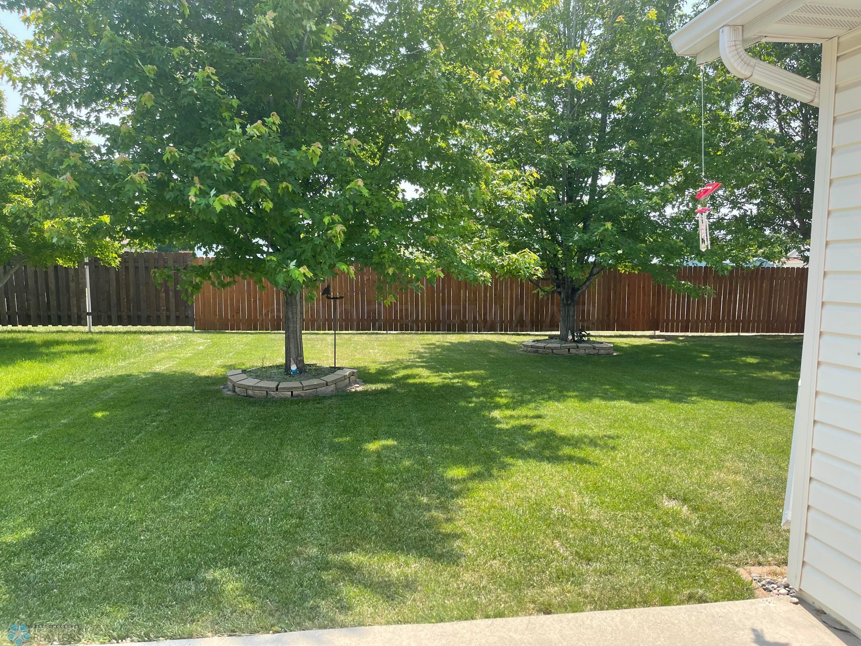 BACK YARD