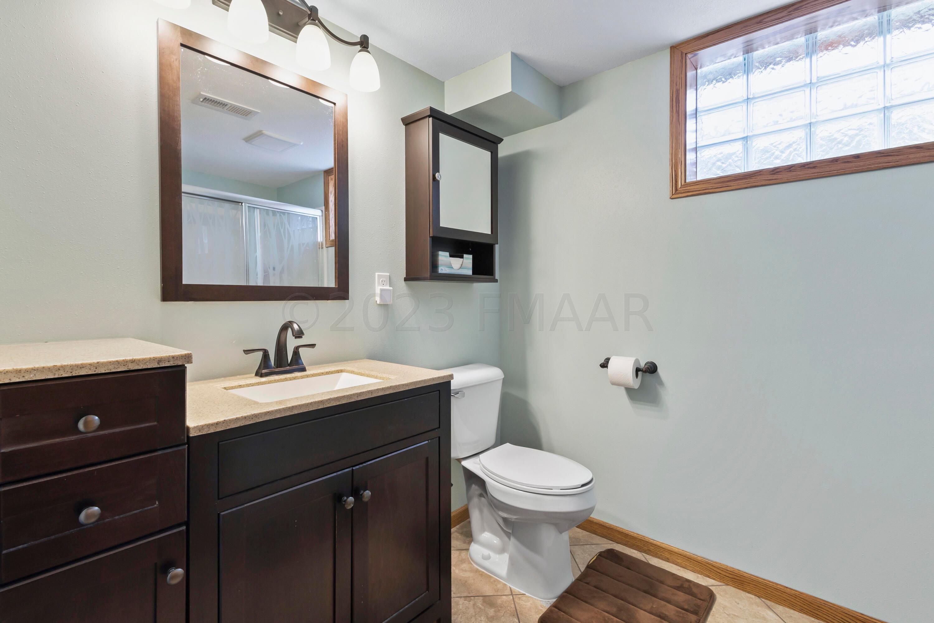 Lower level bathroom
