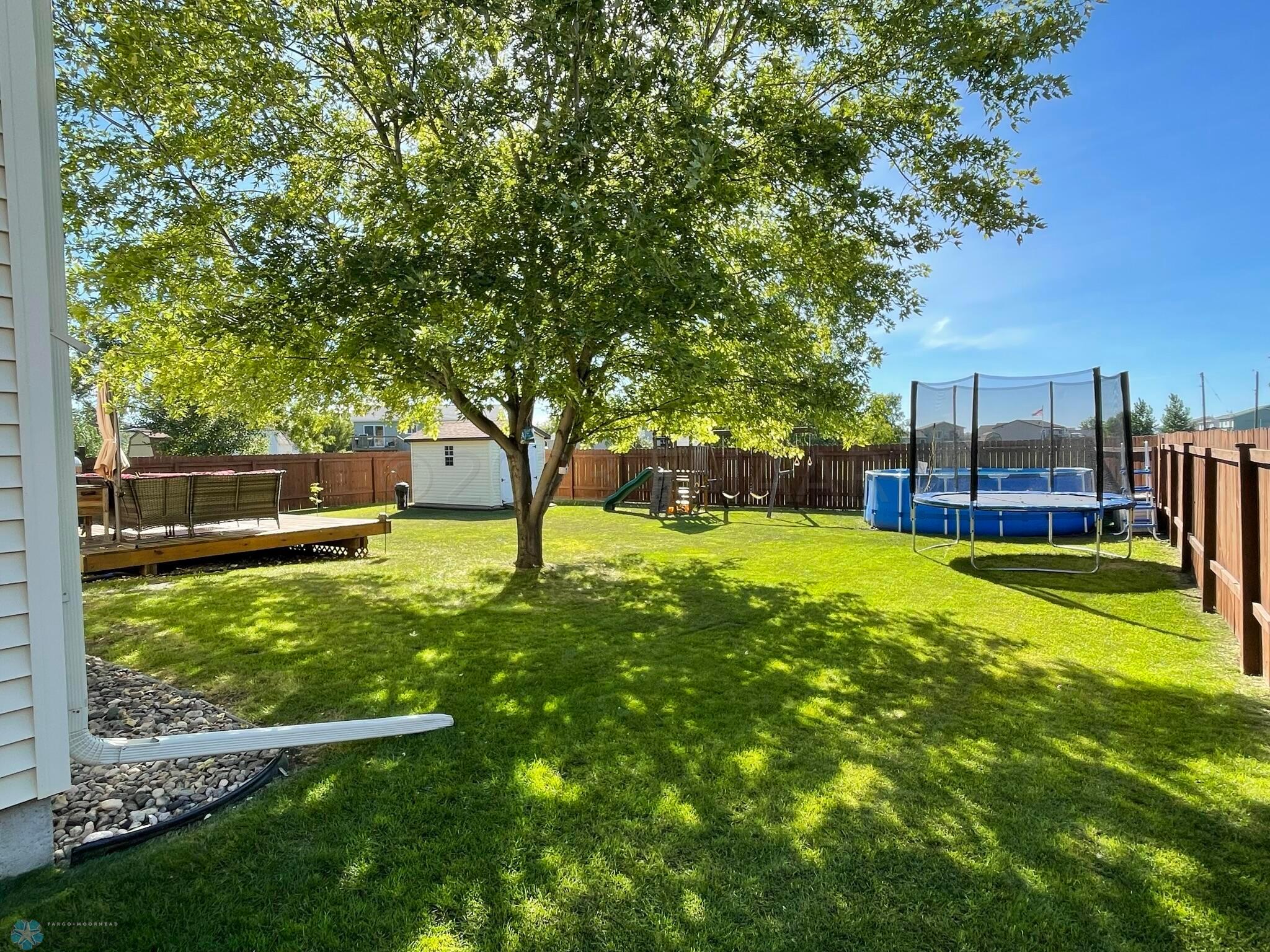 Summertime Yard