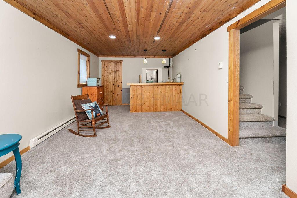 Basement Family Room