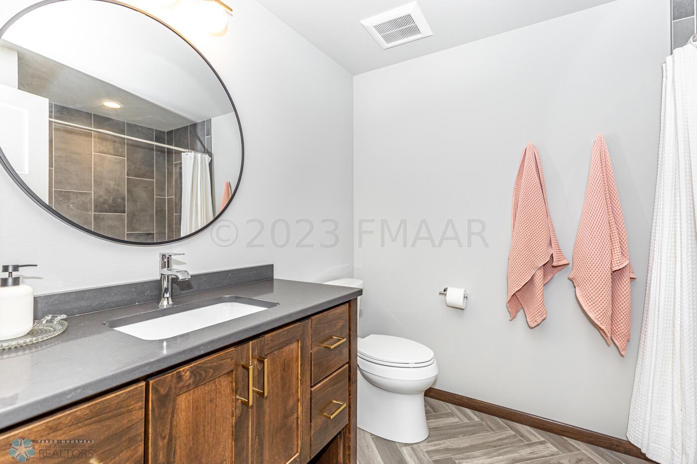 Lower Level Bathroom
