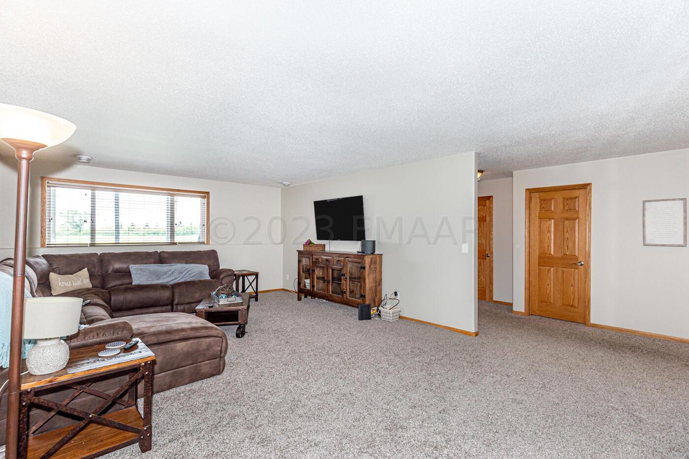 Lower level Family room