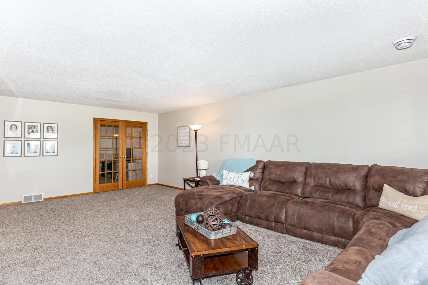 Lower level Family room