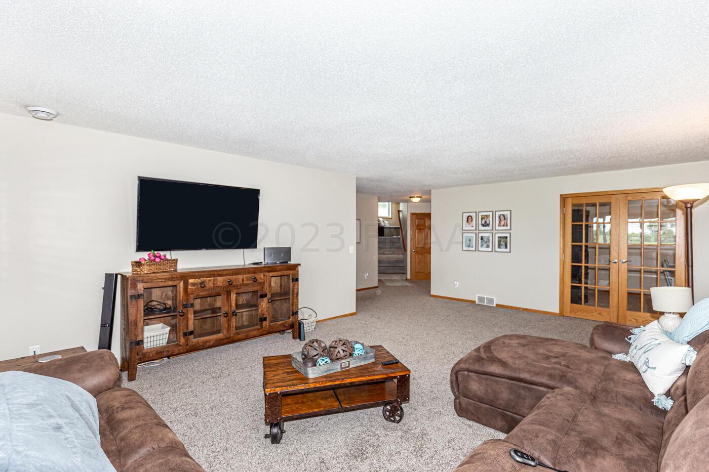 Lower level Family room