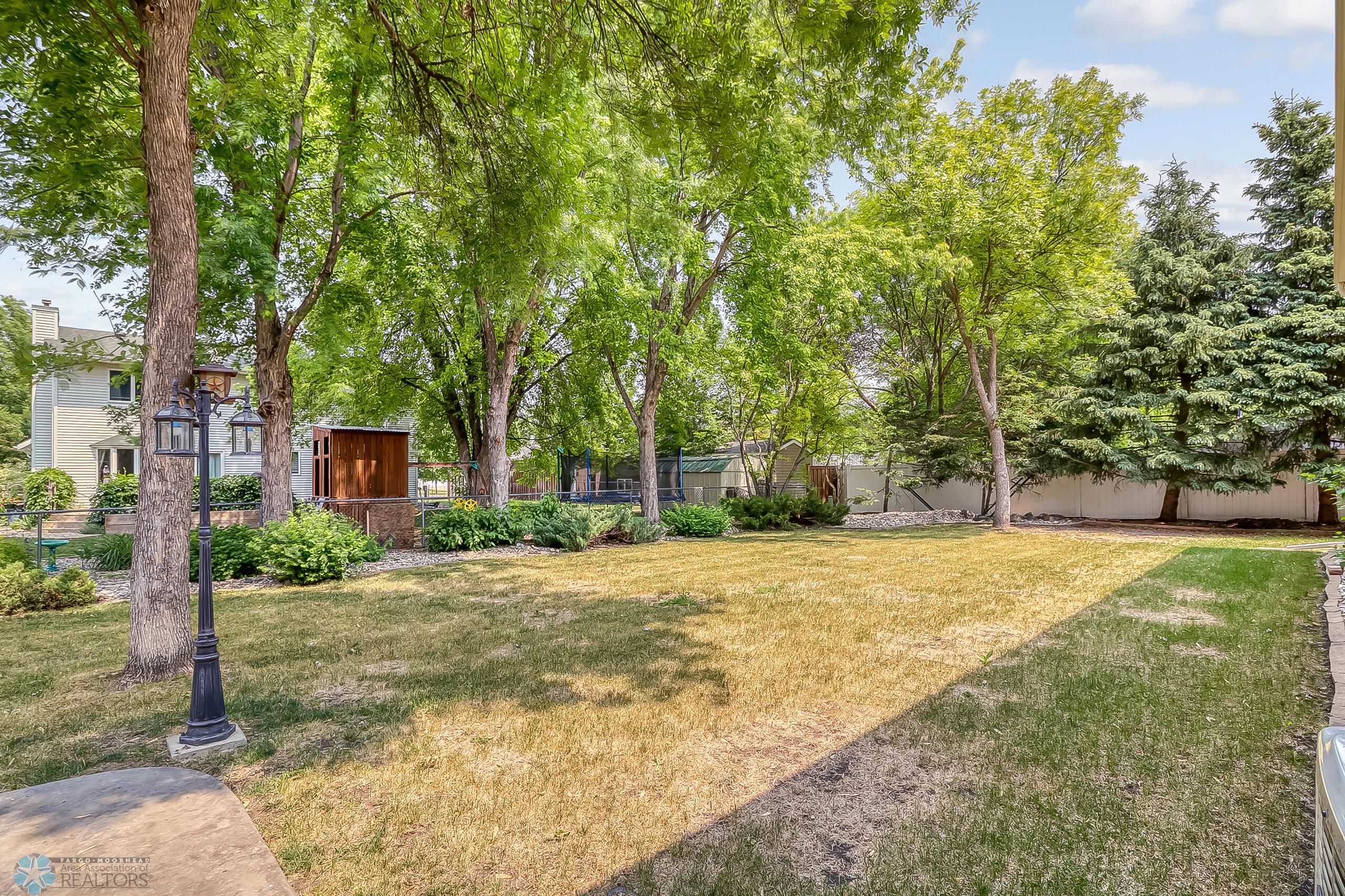 Backyard1_1