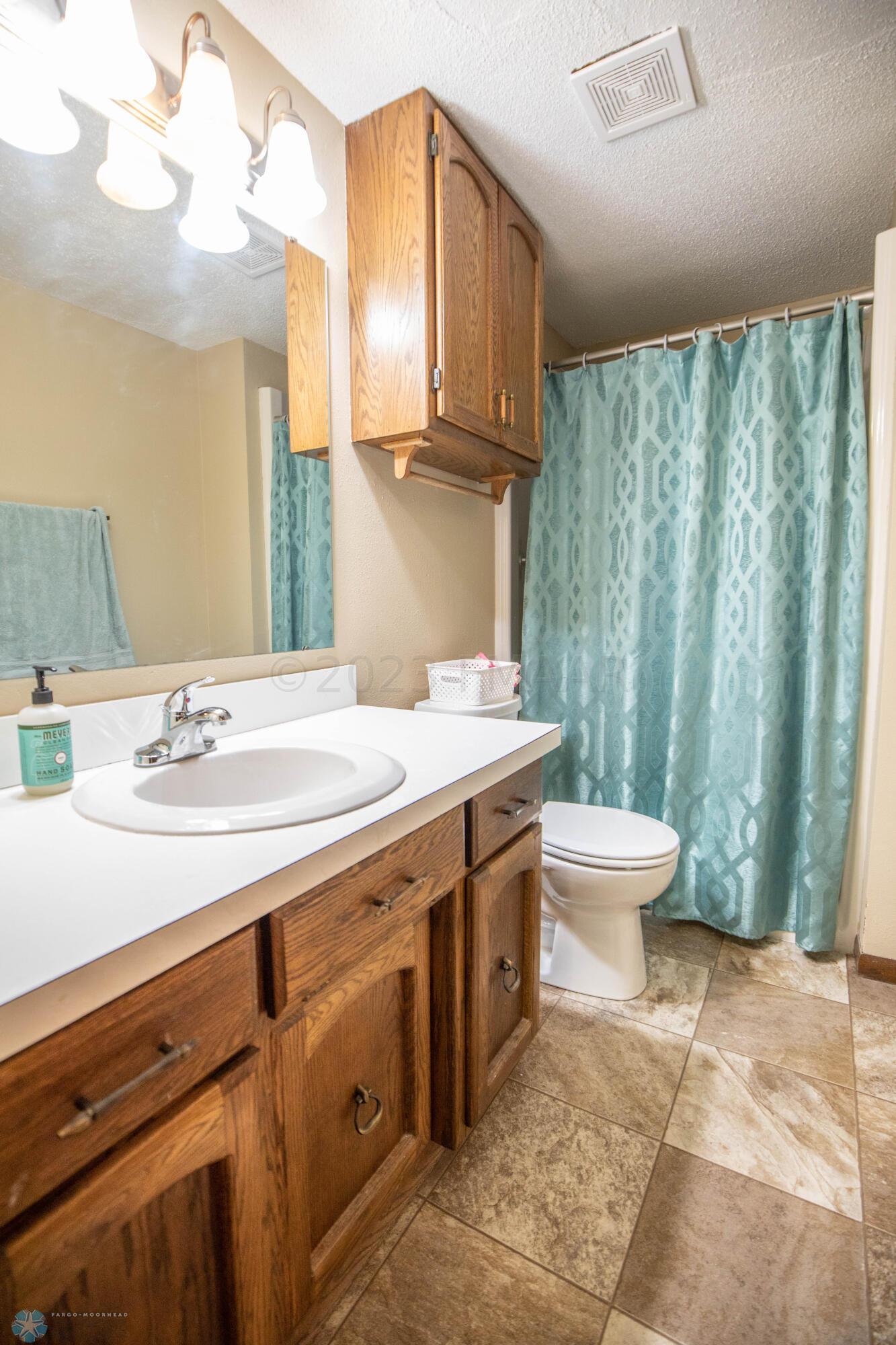 Lower Level Bathroom