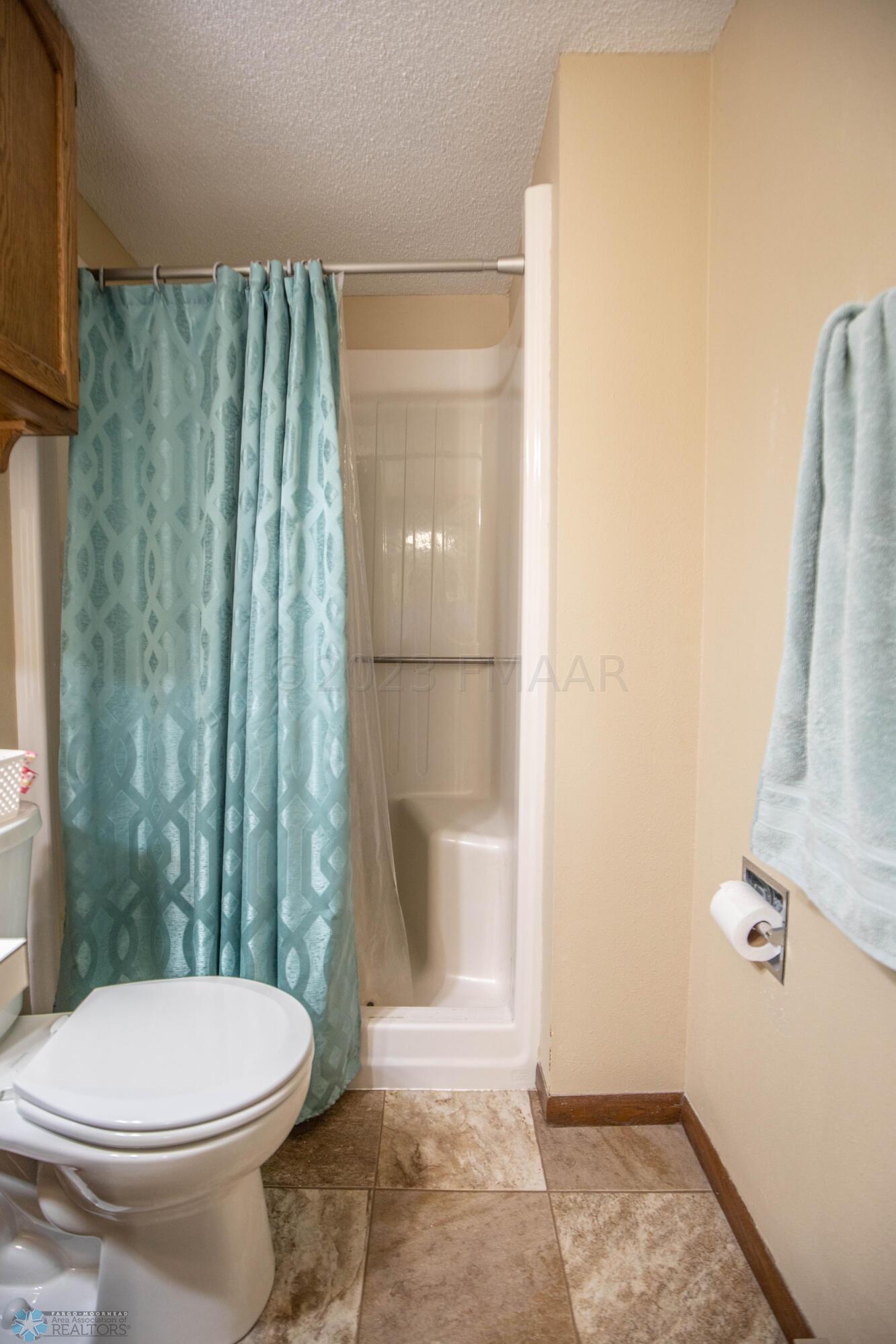 Lower Level Bathroom