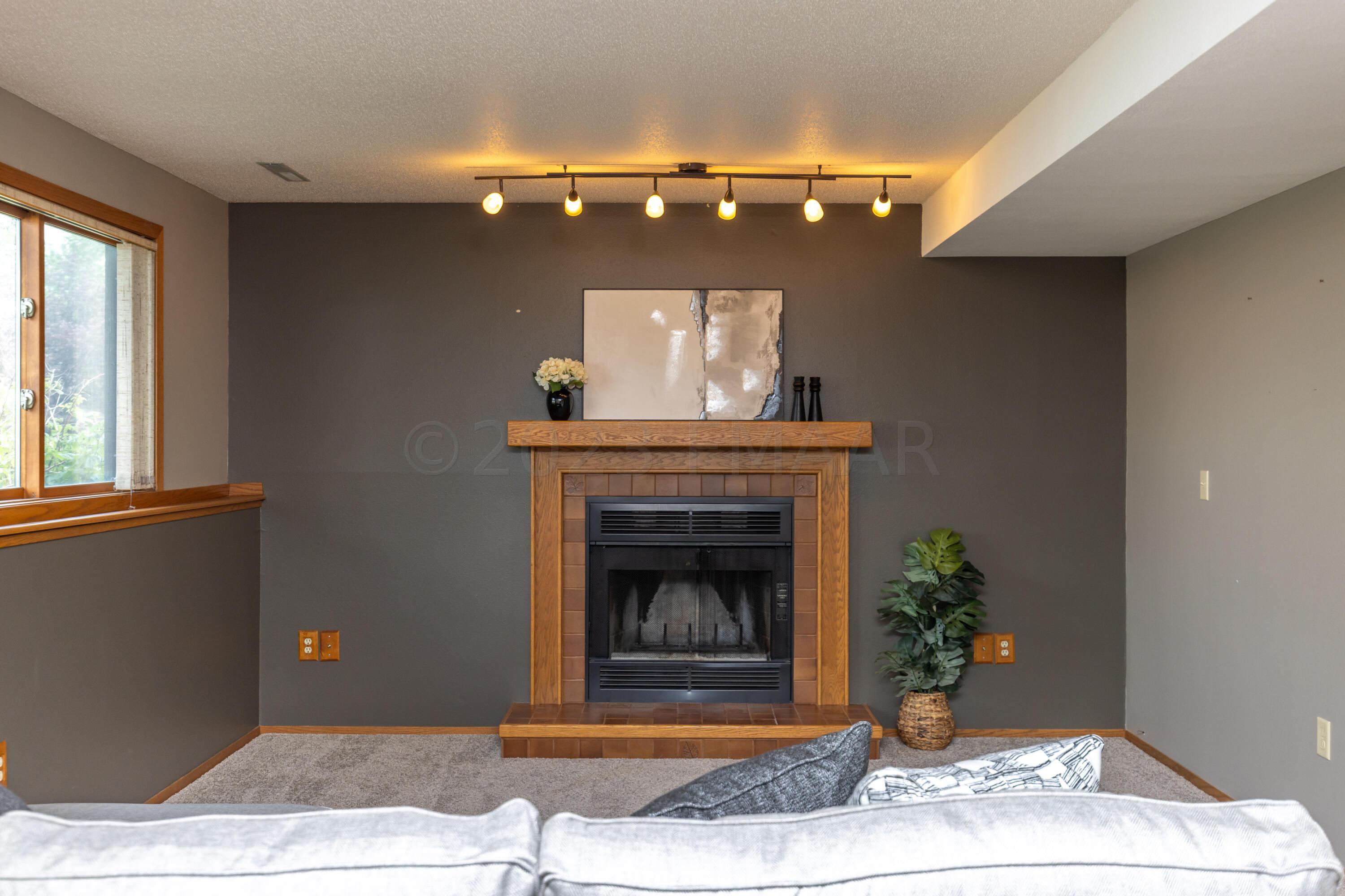 Lower Level Family Room