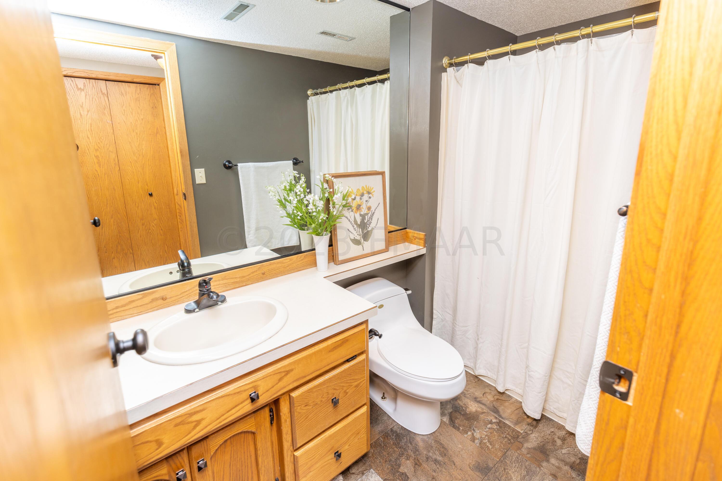 Lower Level Bathroom