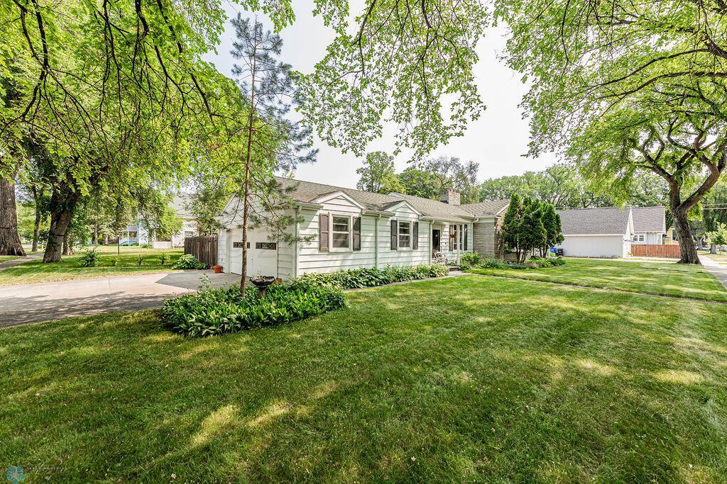 Beautiful Treed Yard