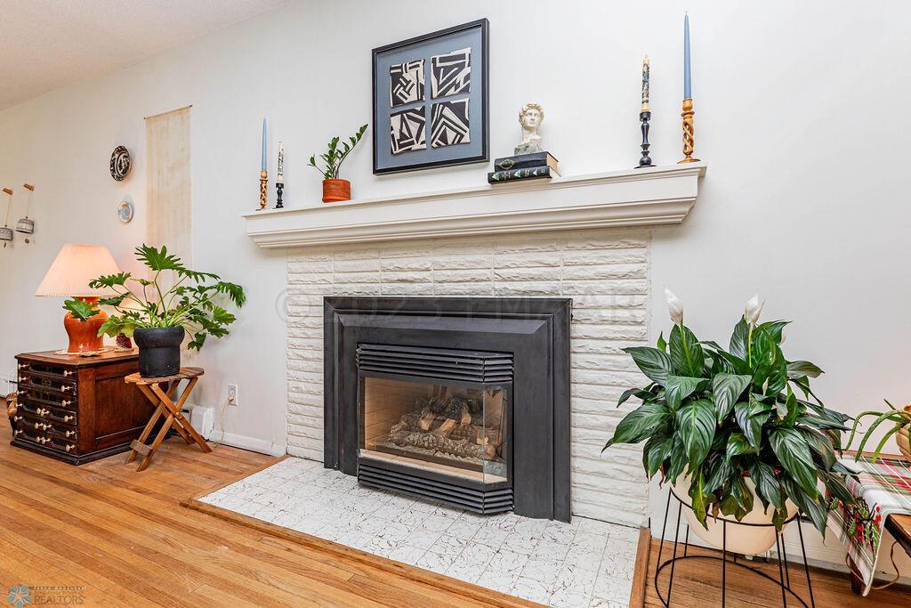 Cozy Gas Fireplace